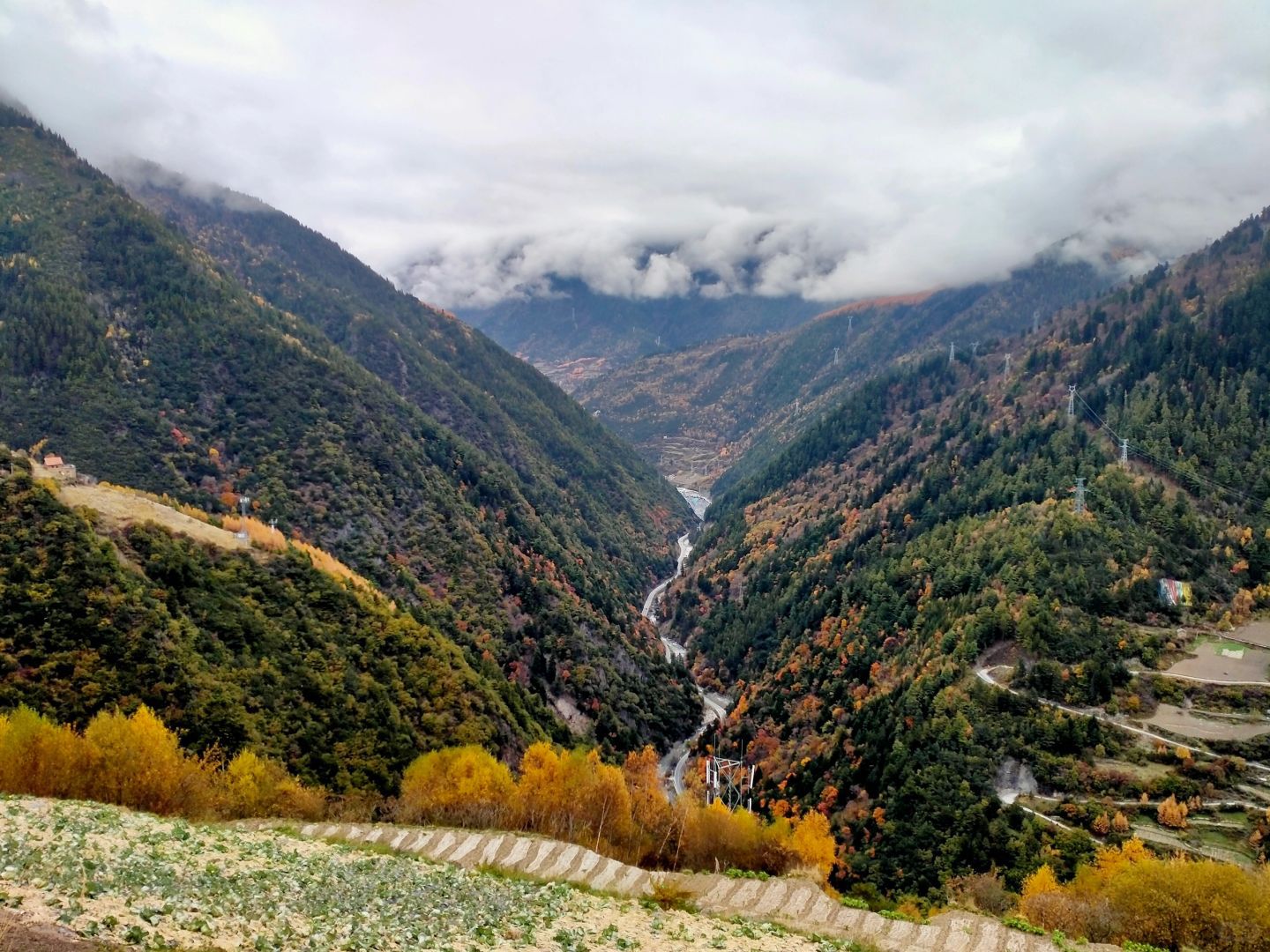 米亚罗风景区旅行图片 1