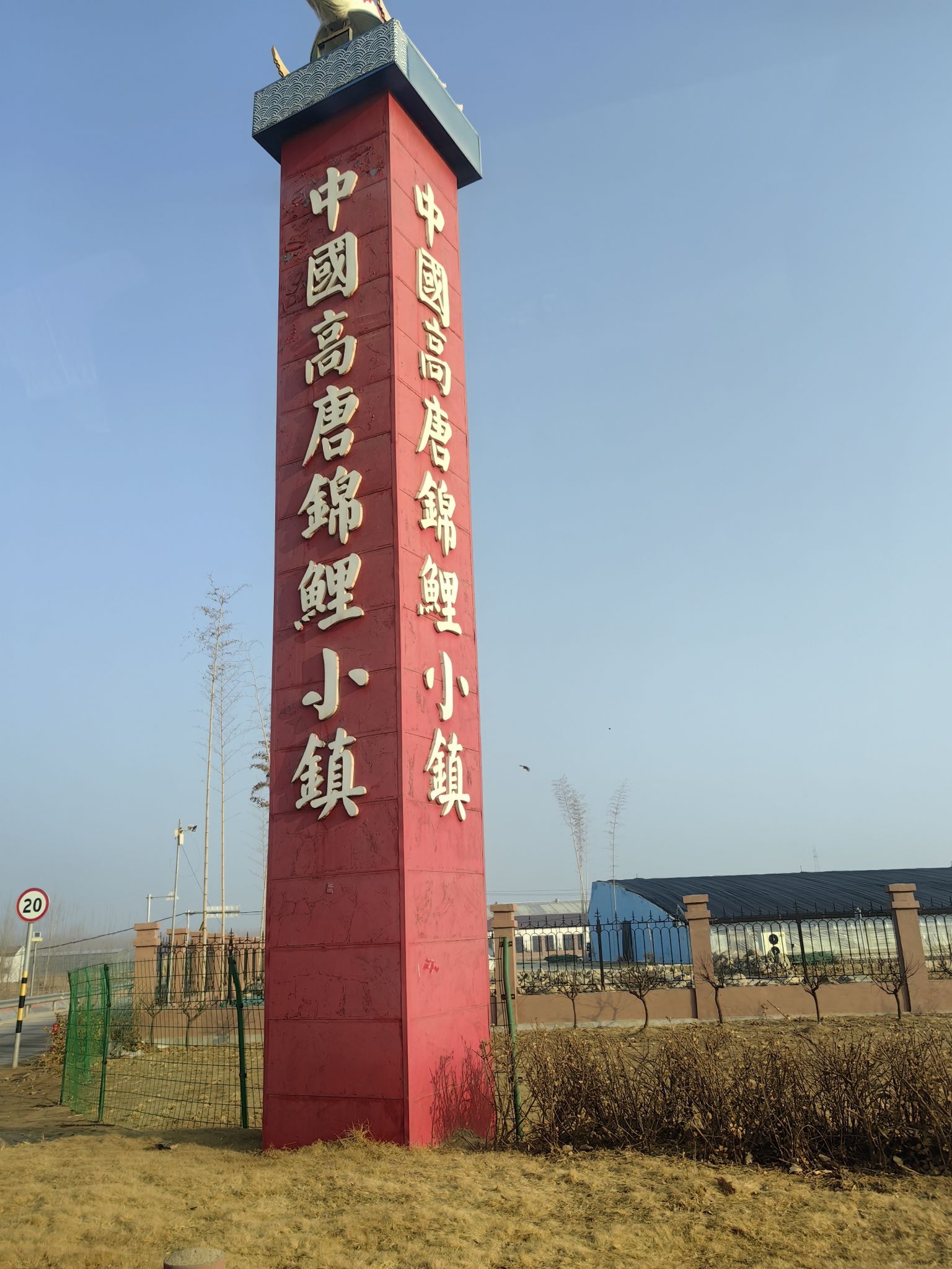 中国高唐锦鲤小镇旅行图片 3