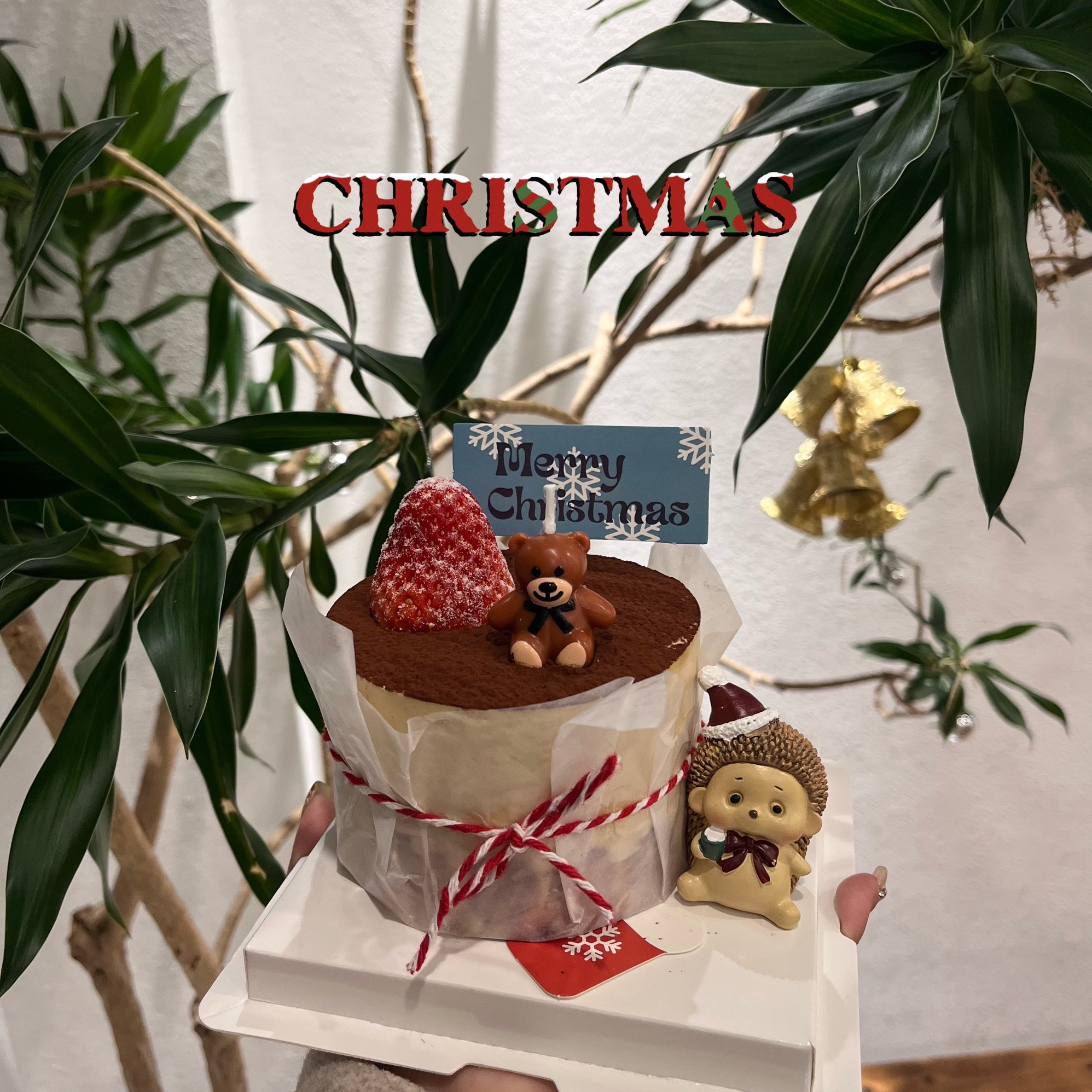 AC cake(国际花园B区店)