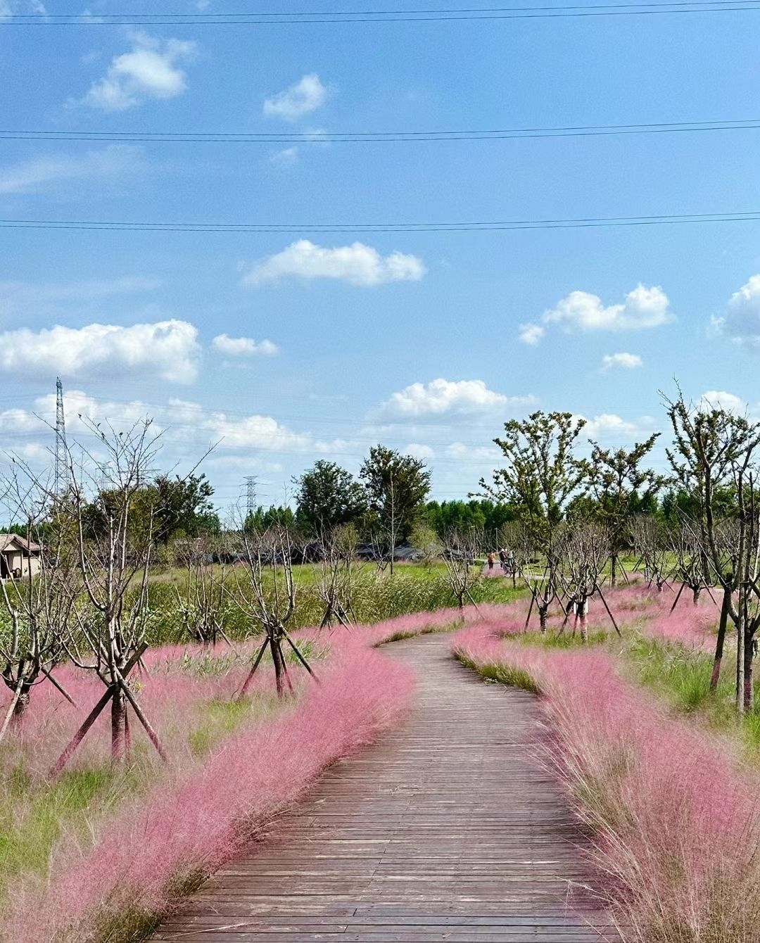 南通都市农业公园旅行图片 2