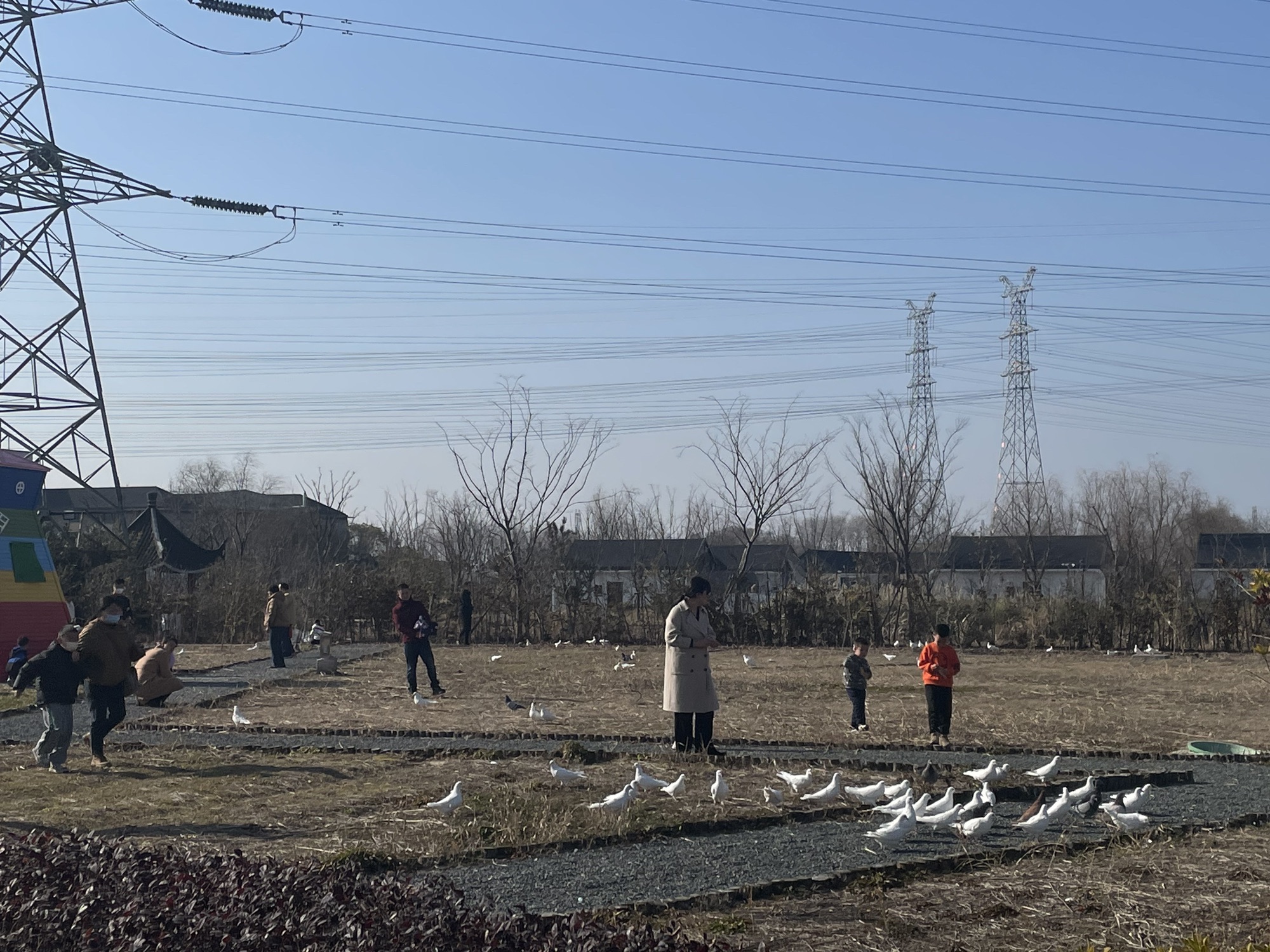 南通都市农业公园旅行图片 2