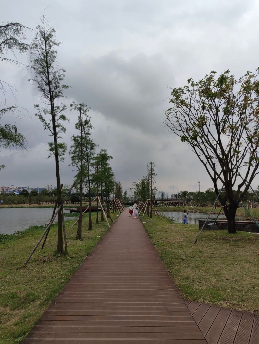 国际城滨河湿地公园旅行图片 1