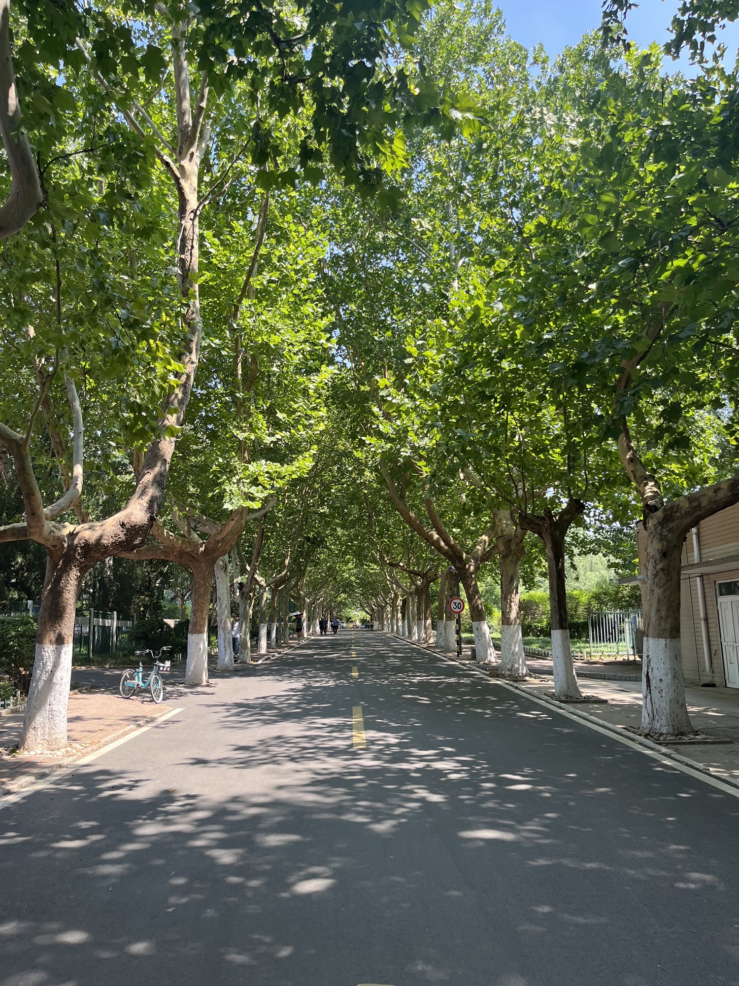 济南大学西校区/济南大学