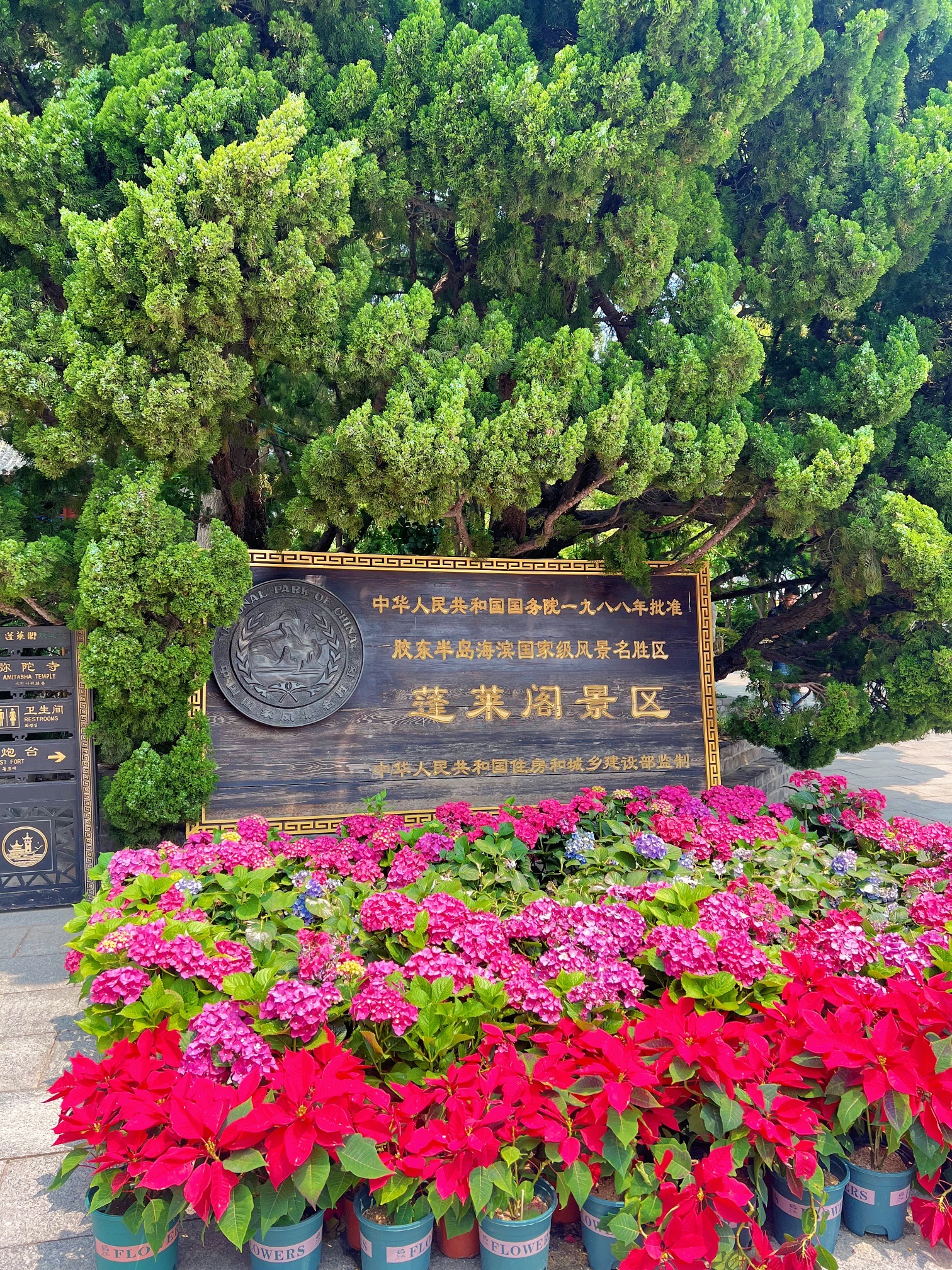 蓬莱阁 景点照片