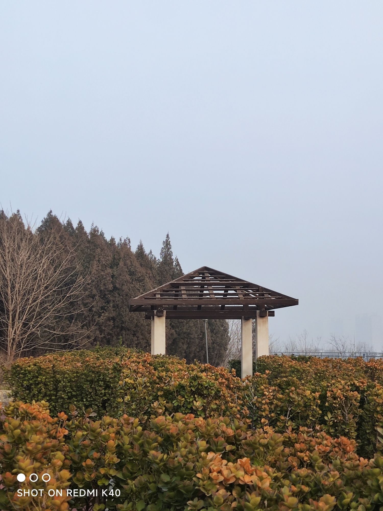将山山地森林公园旅行图片 2