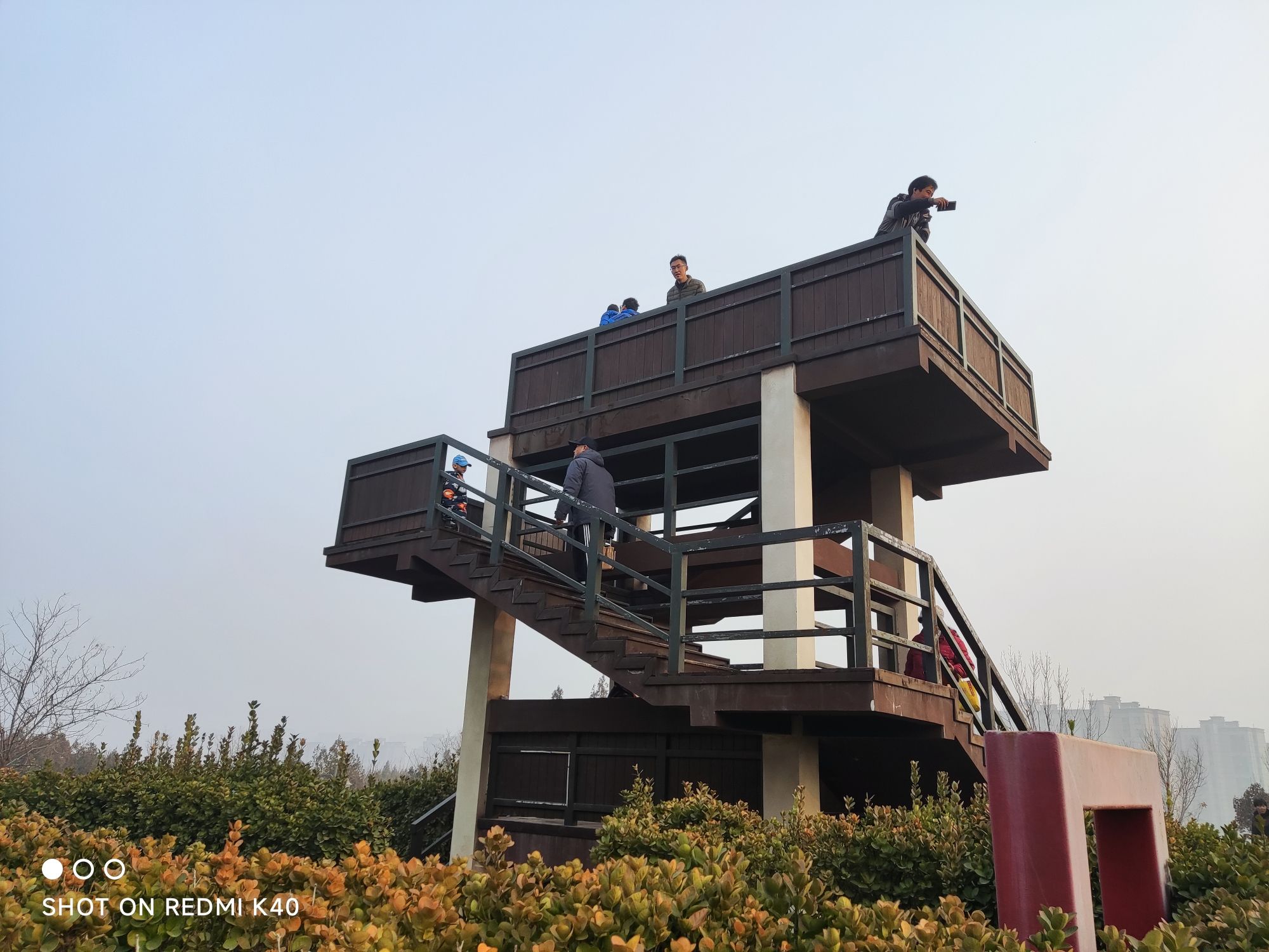 将山山地森林公园旅行图片 1