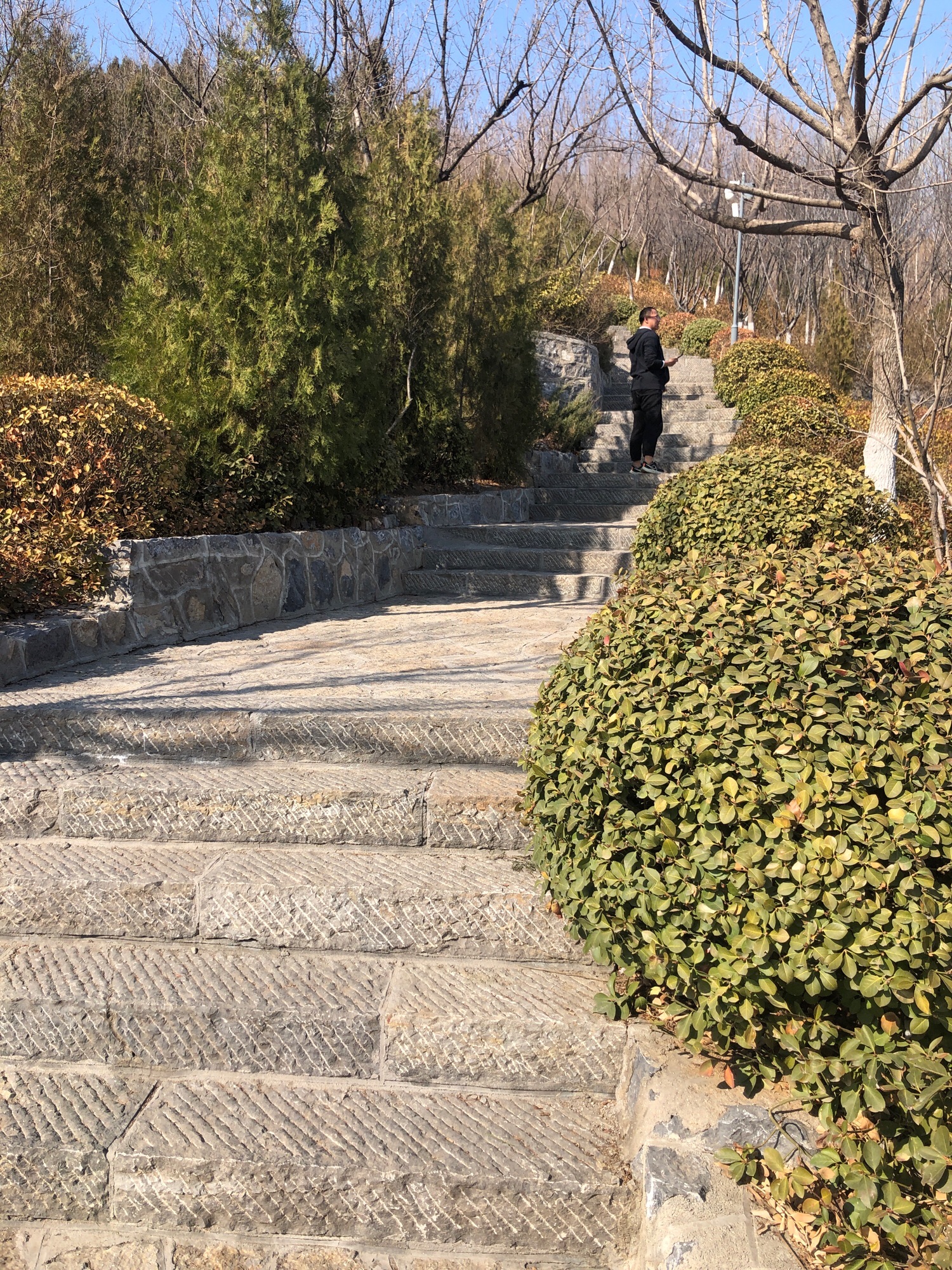 将山山地森林公园旅行图片 2