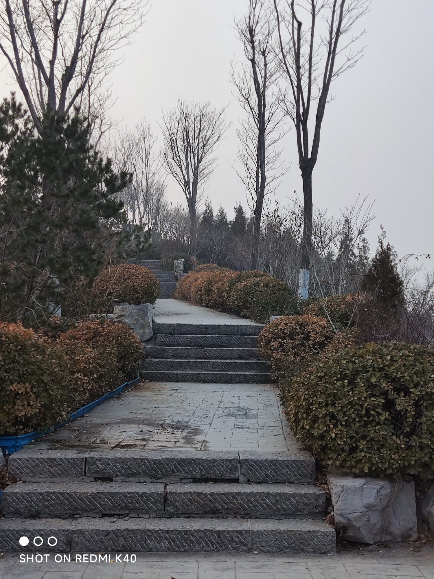 将山山地森林公园旅行图片 3
