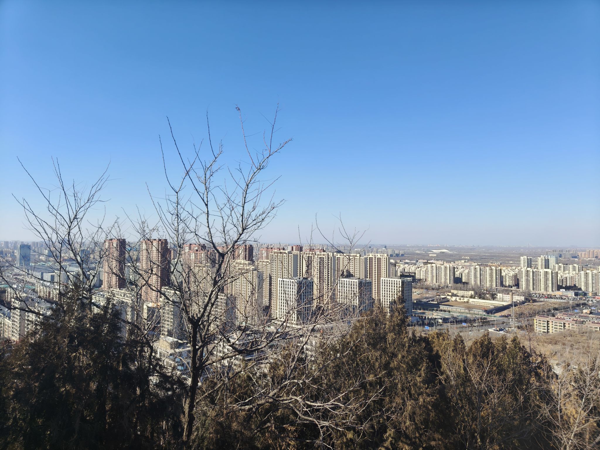 将山山地森林公园旅行图片 2