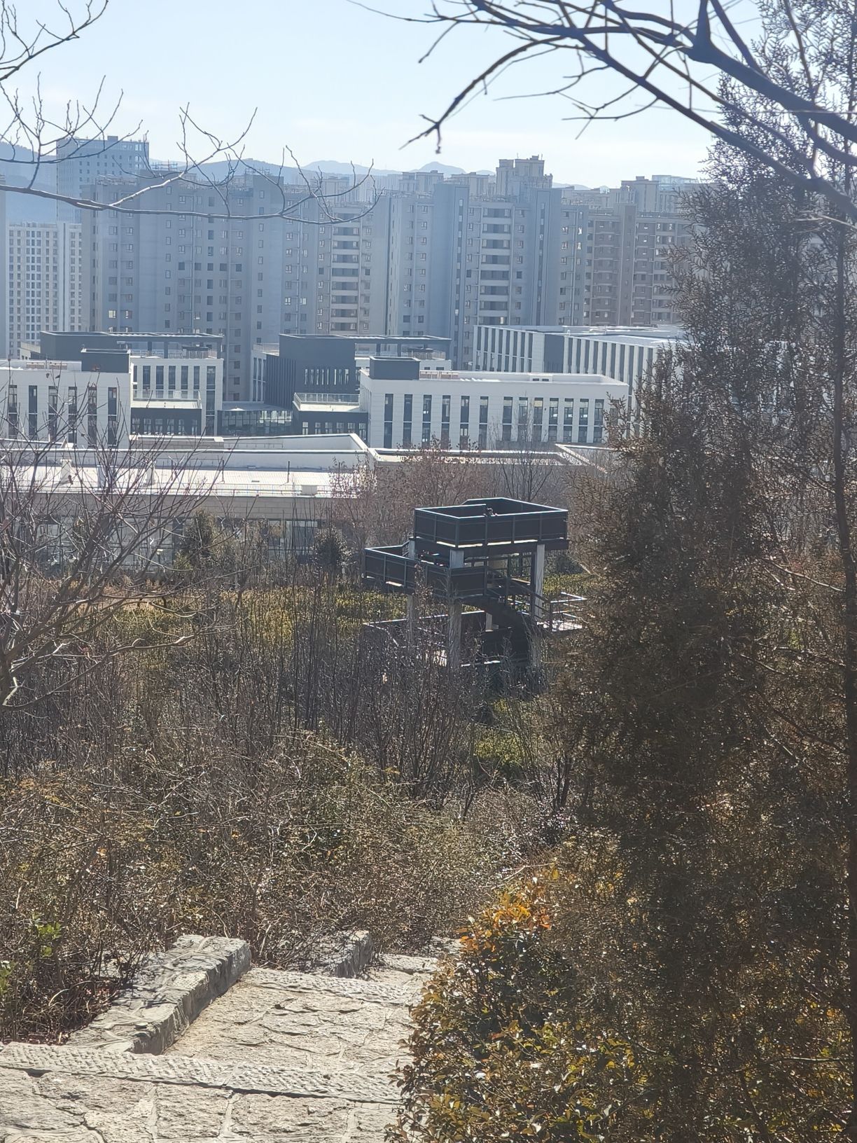将山山地森林公园旅行图片 3