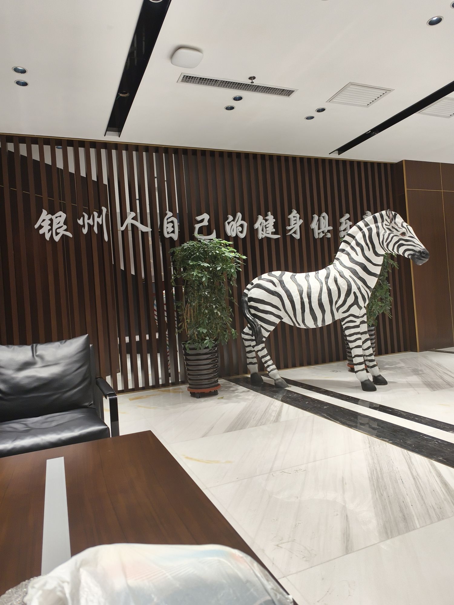 水沐·斑马运动(银州店)