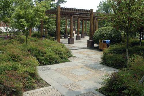 川沙绿地公园旅行图片 1