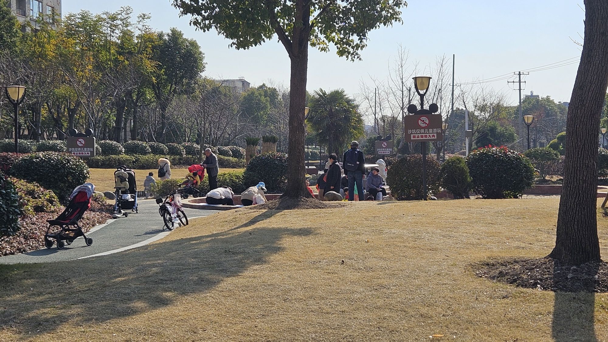 川沙绿地公园旅行图片 1