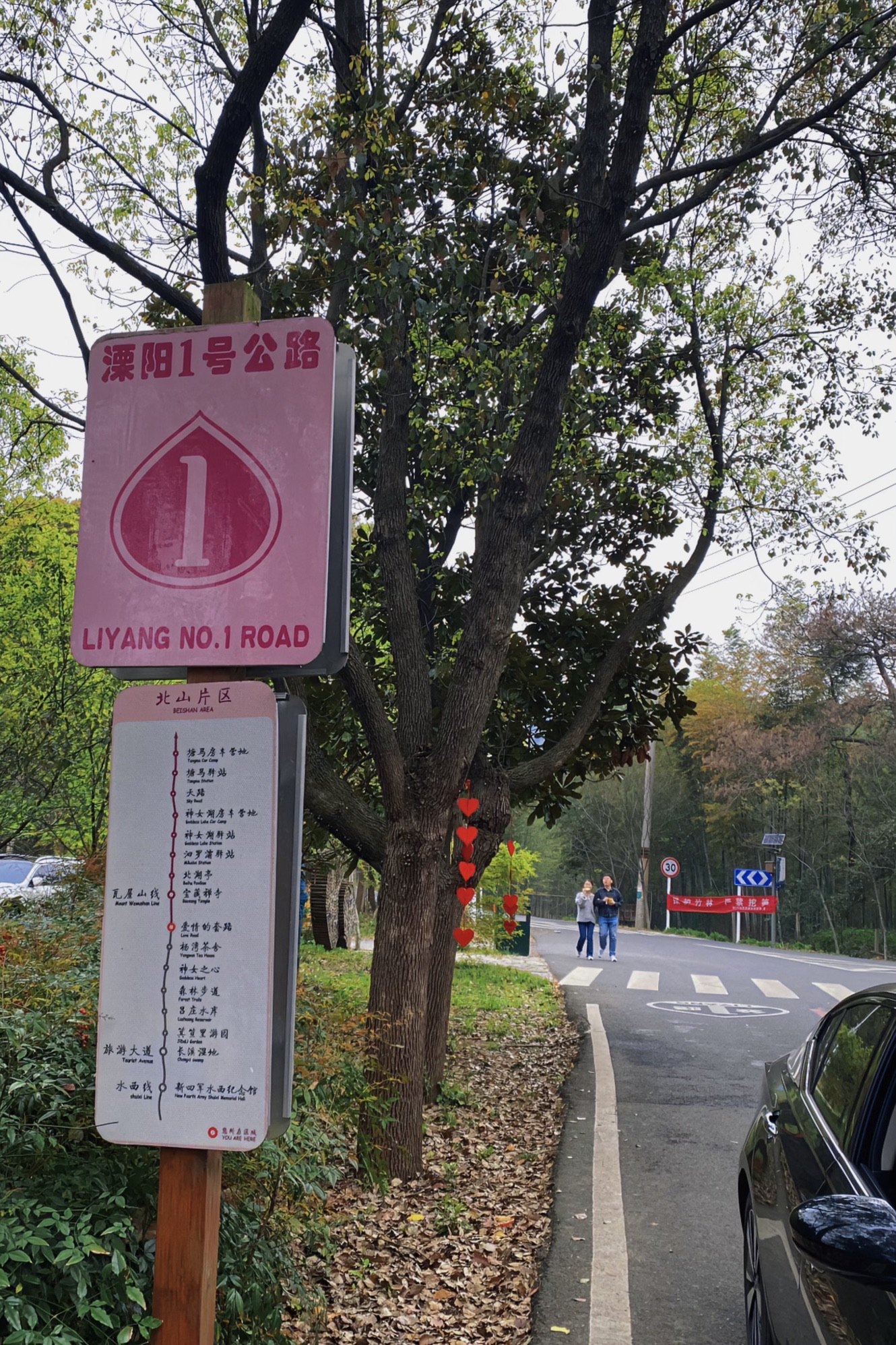 最美天路旅行图片 3