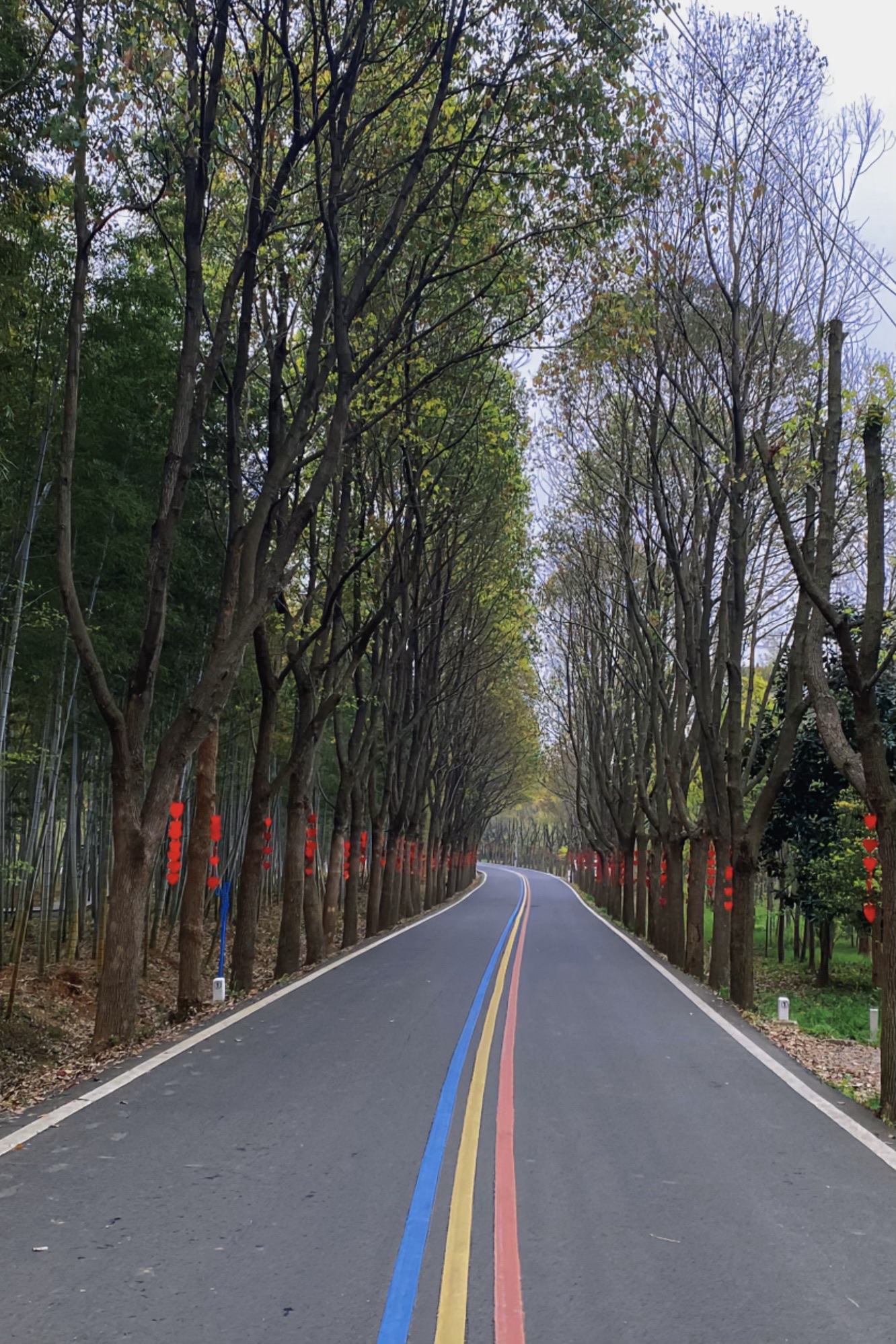 最美天路旅行图片 2