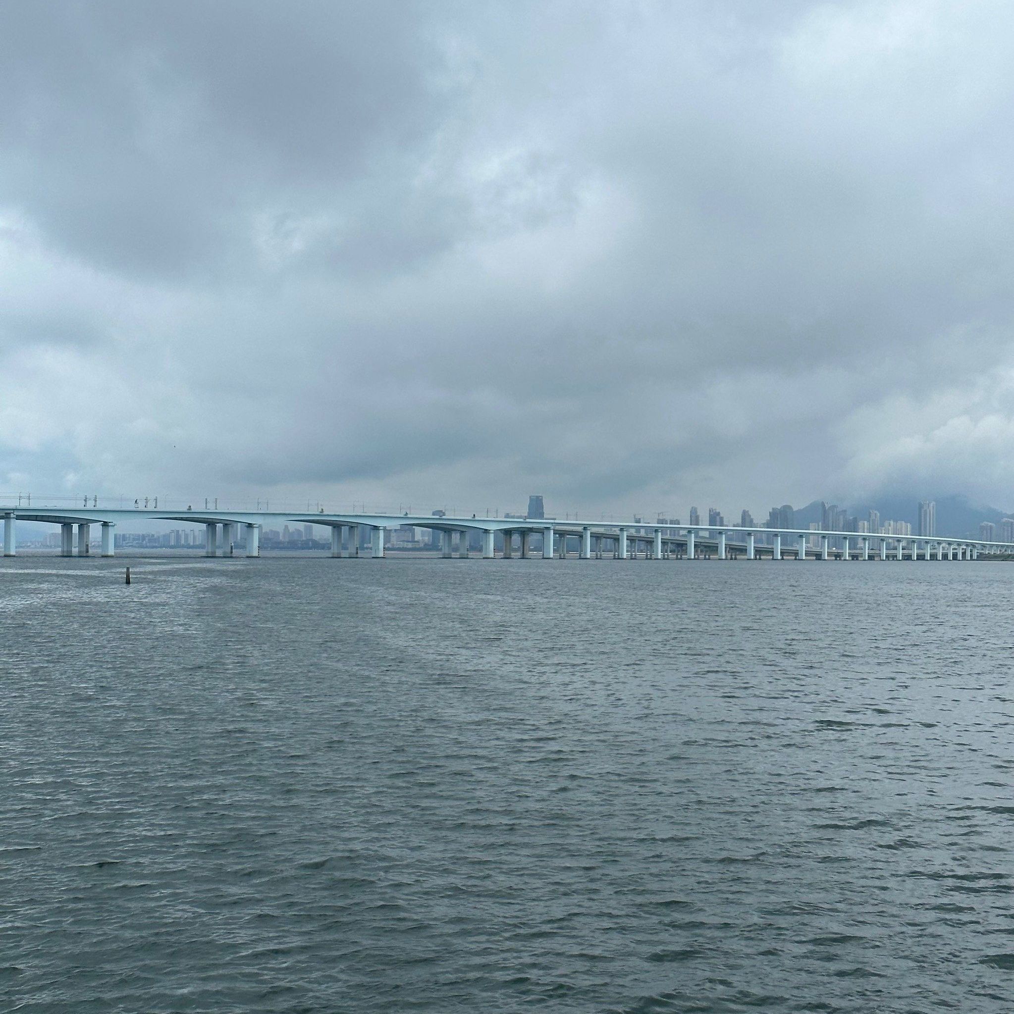 翔安湿地公园旅行图片 2