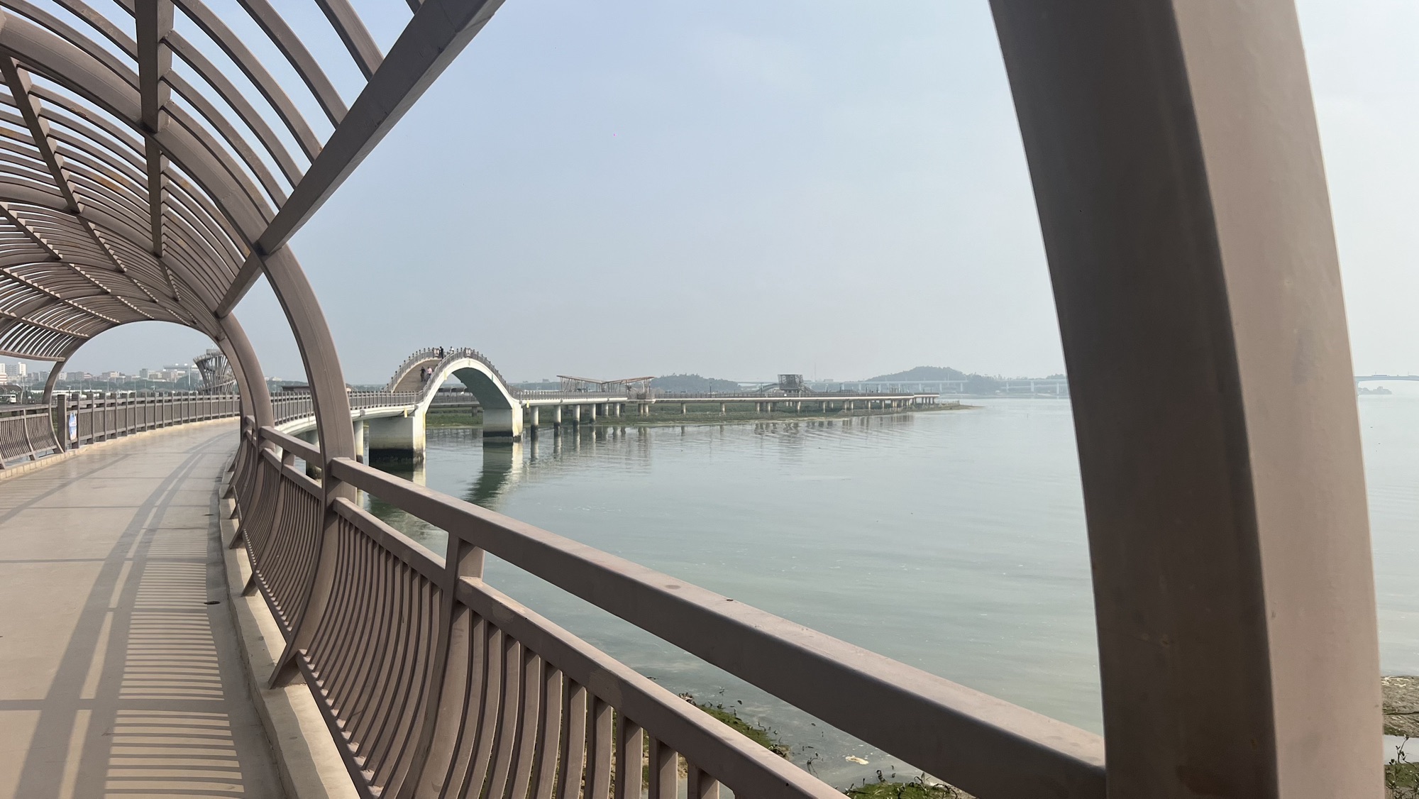 翔安湿地公园旅行图片 3