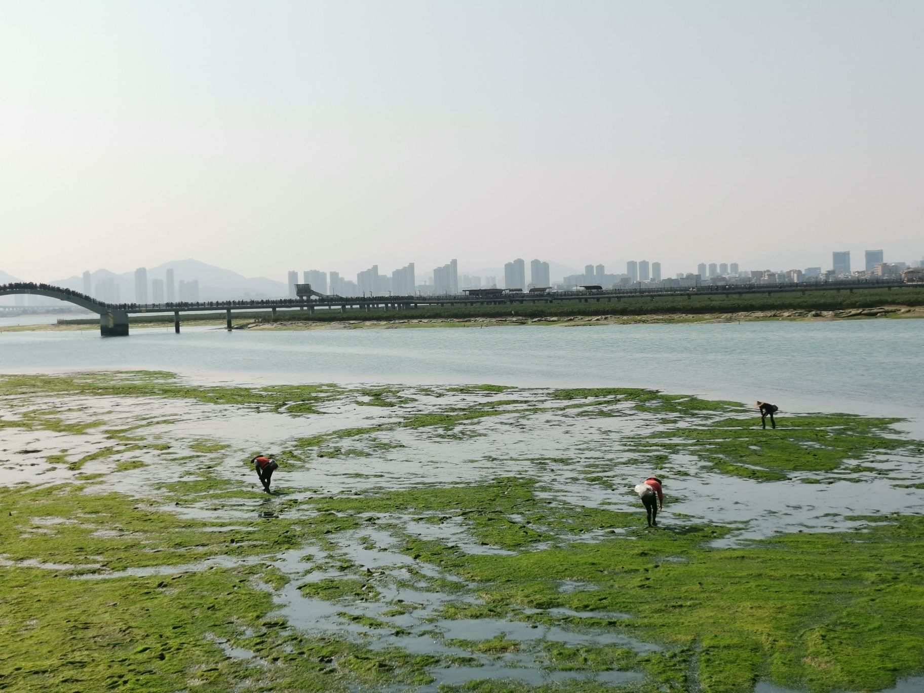翔安湿地公园旅行图片 1
