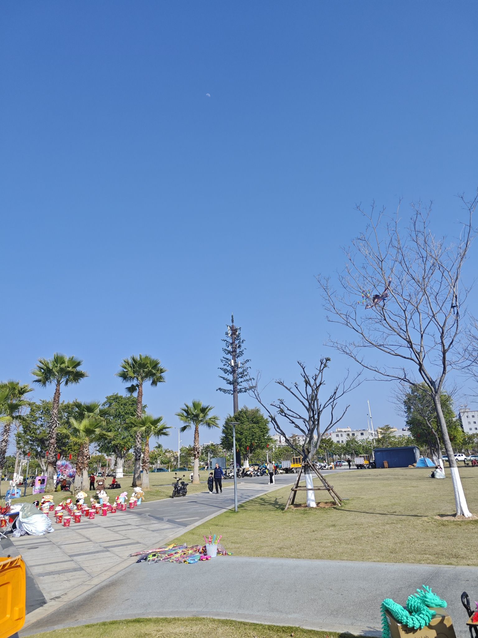 翔安湿地公园旅行图片 2