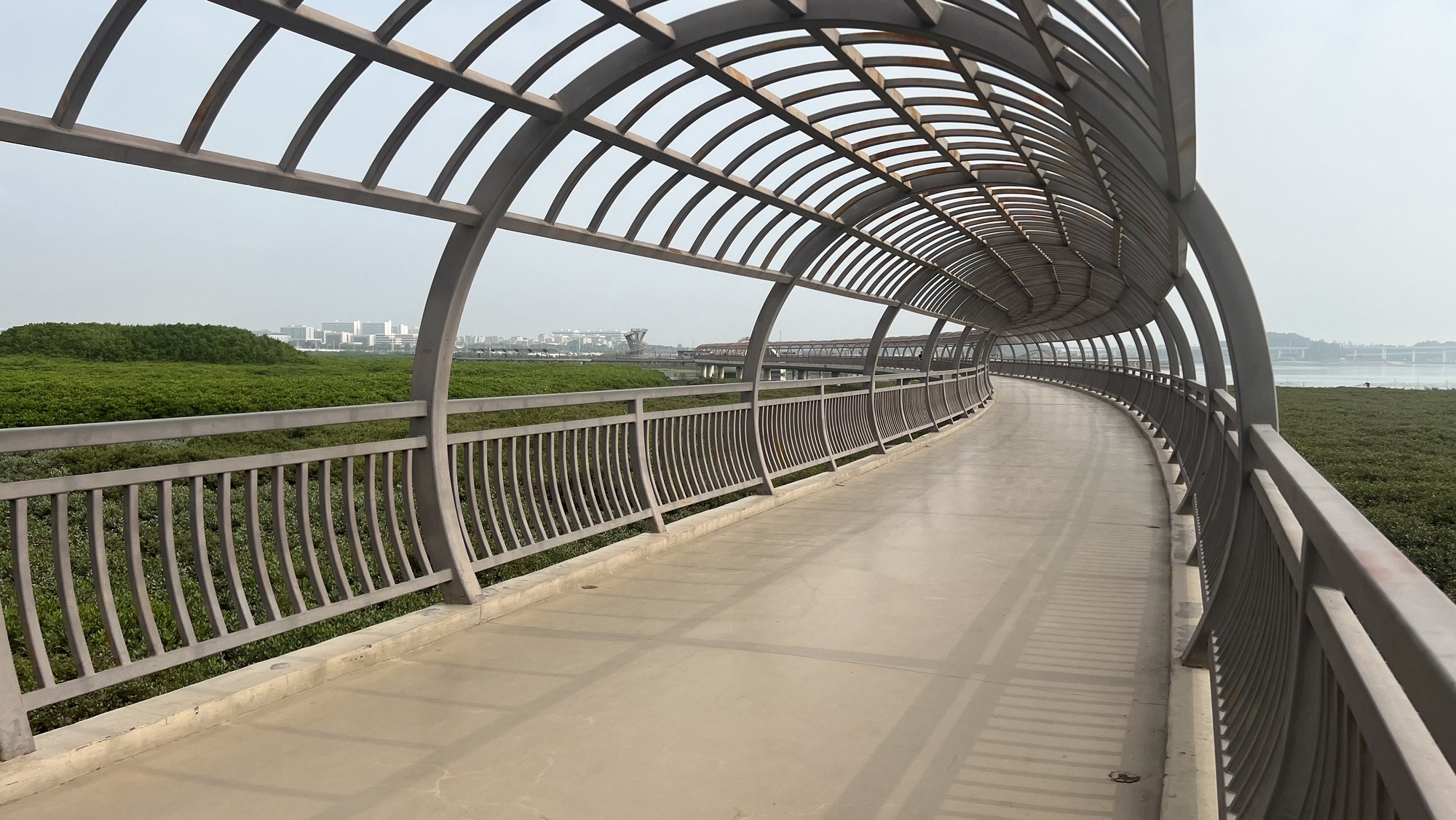 翔安湿地公园旅行图片 2