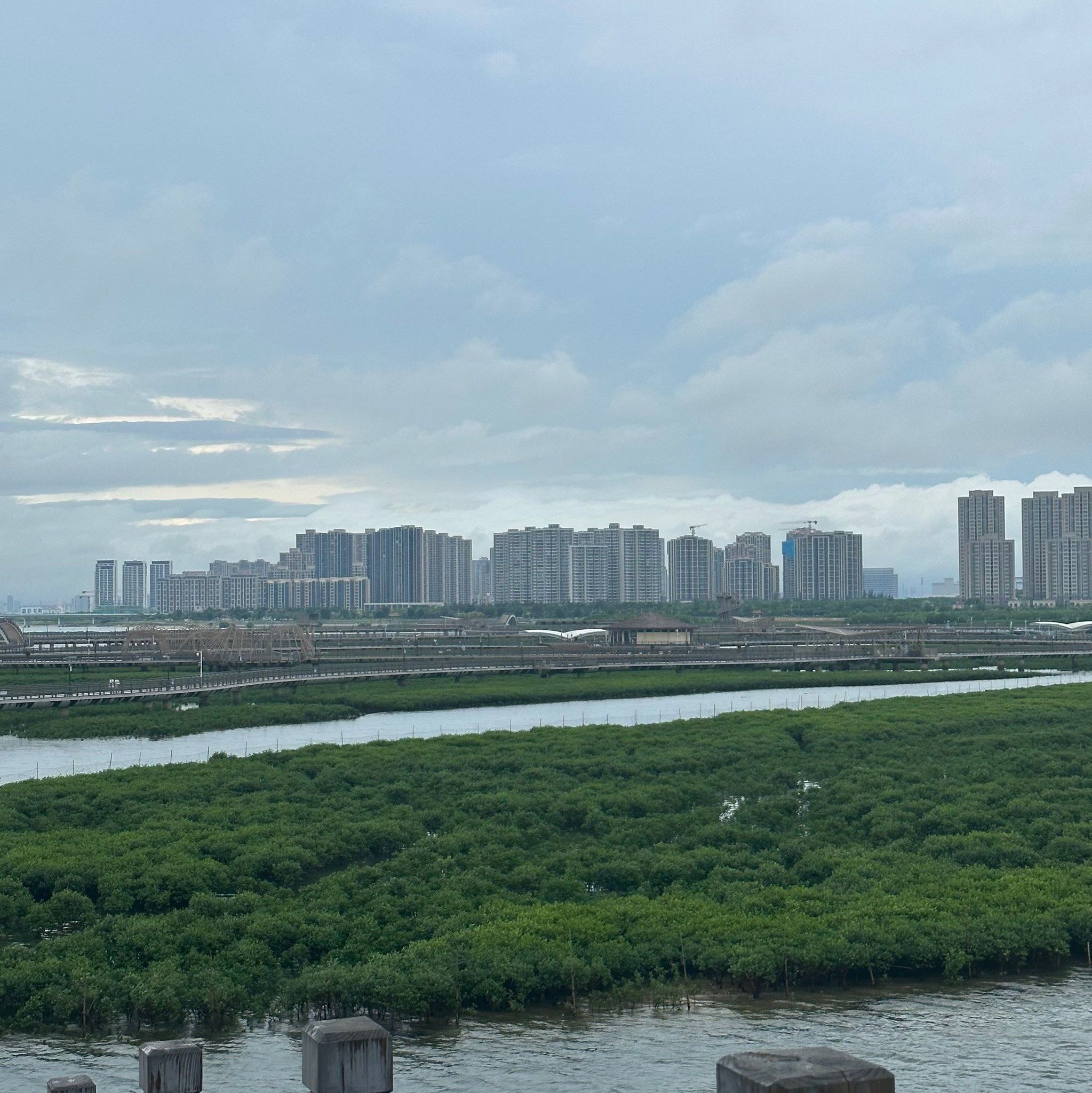 翔安湿地公园旅行图片 1