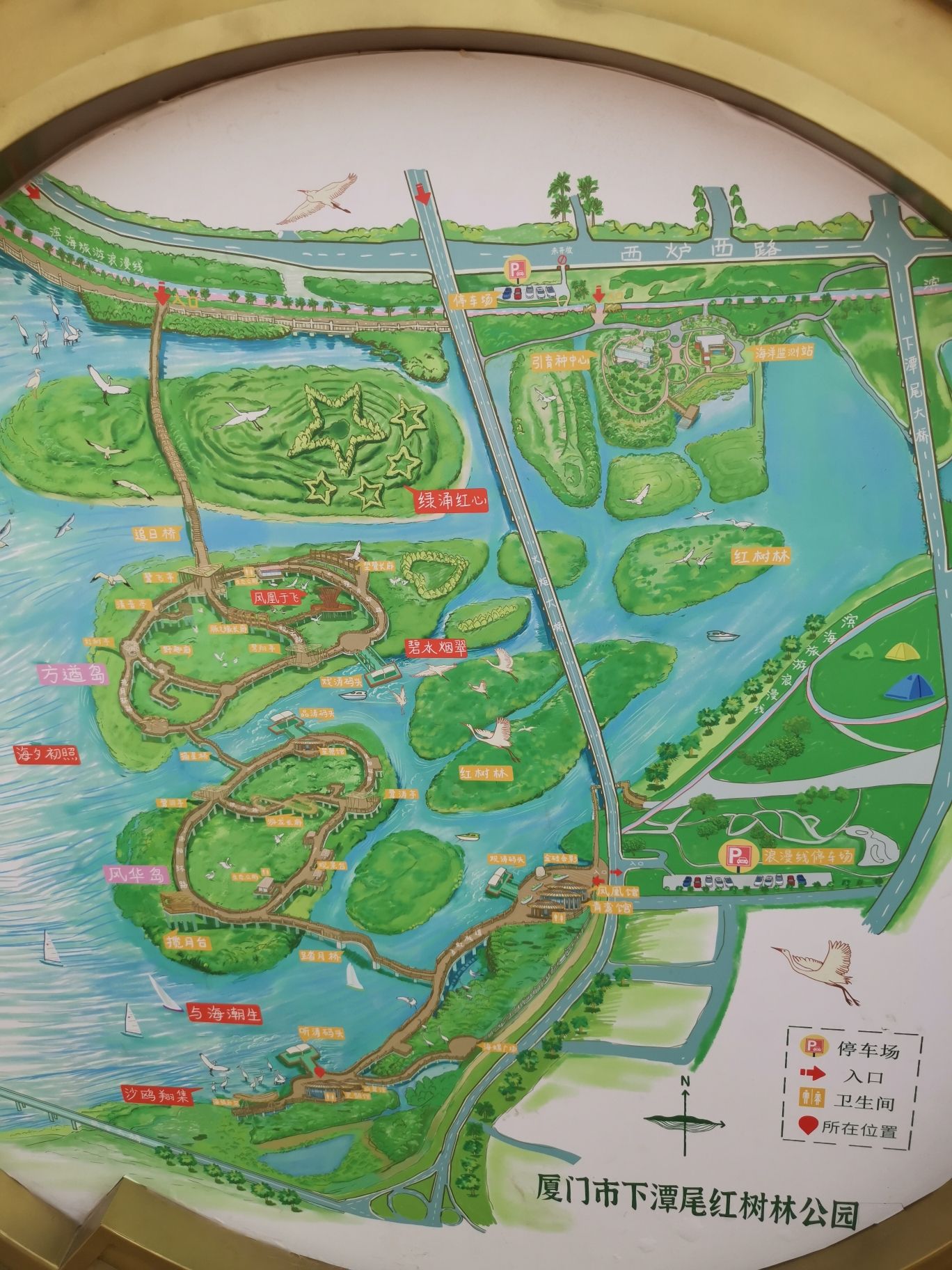 翔安湿地公园旅行图片 3