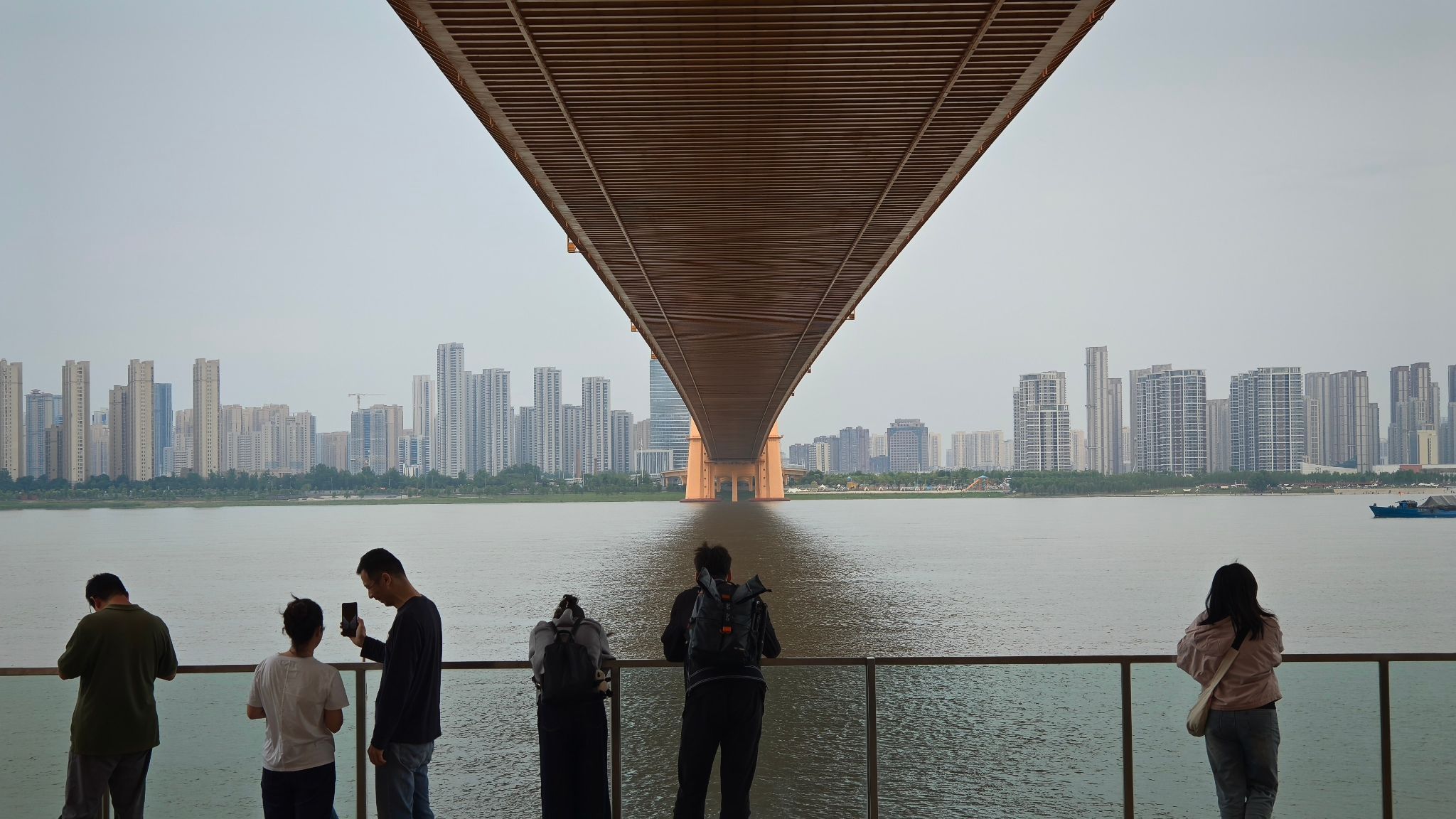 杨泗港大桥江滩公园旅行图片 2