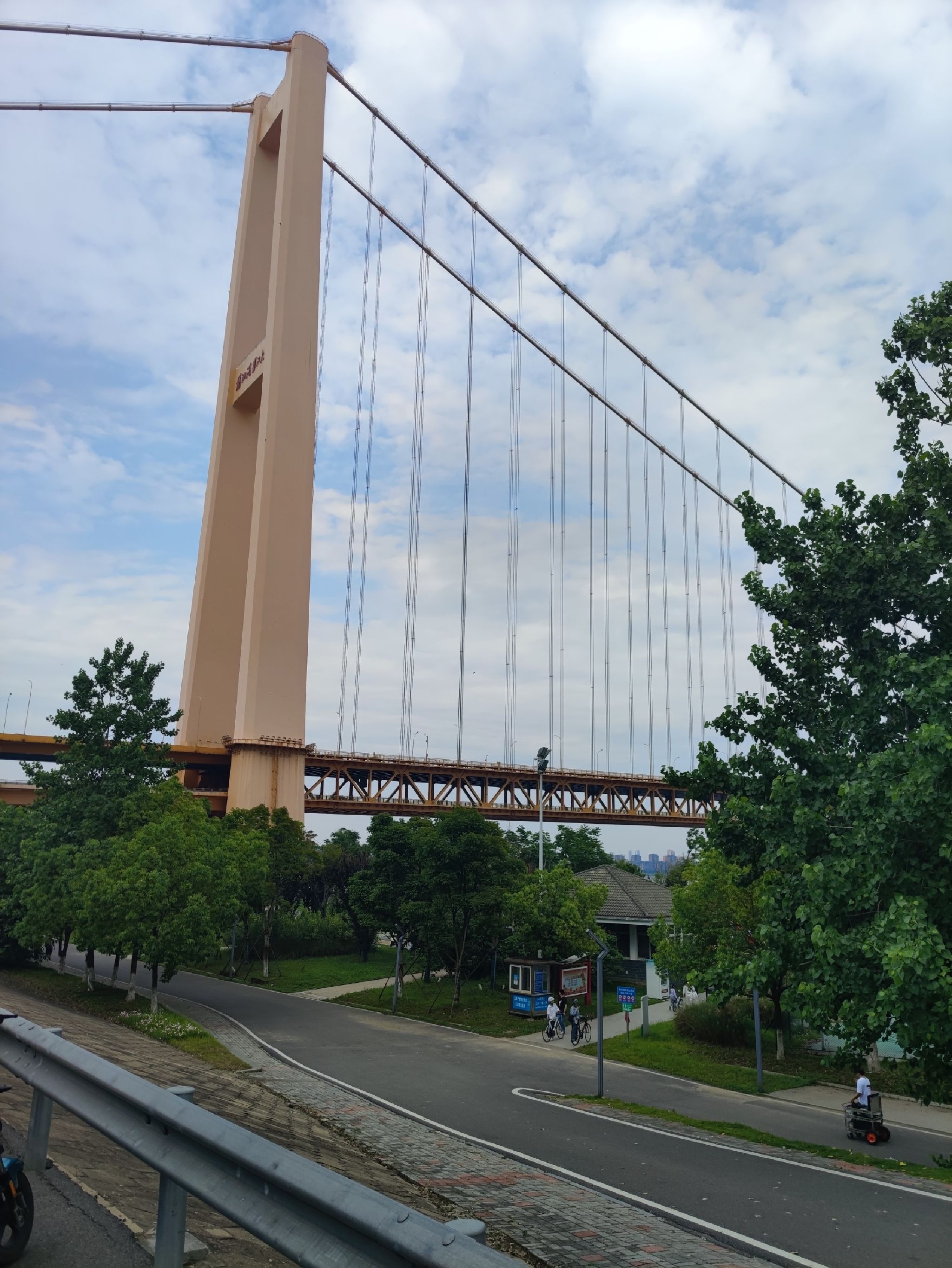 杨泗港大桥江滩公园旅行图片 1