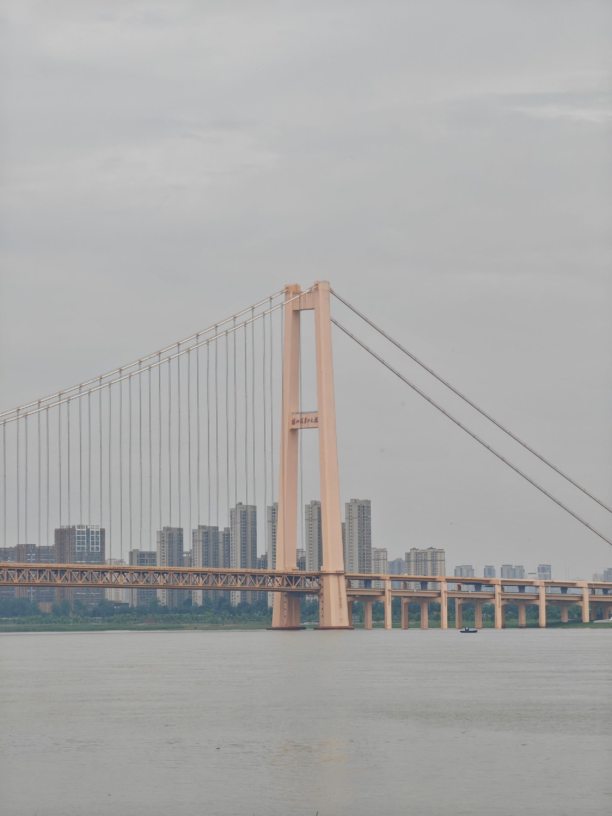 杨泗港大桥江滩公园旅行图片 1