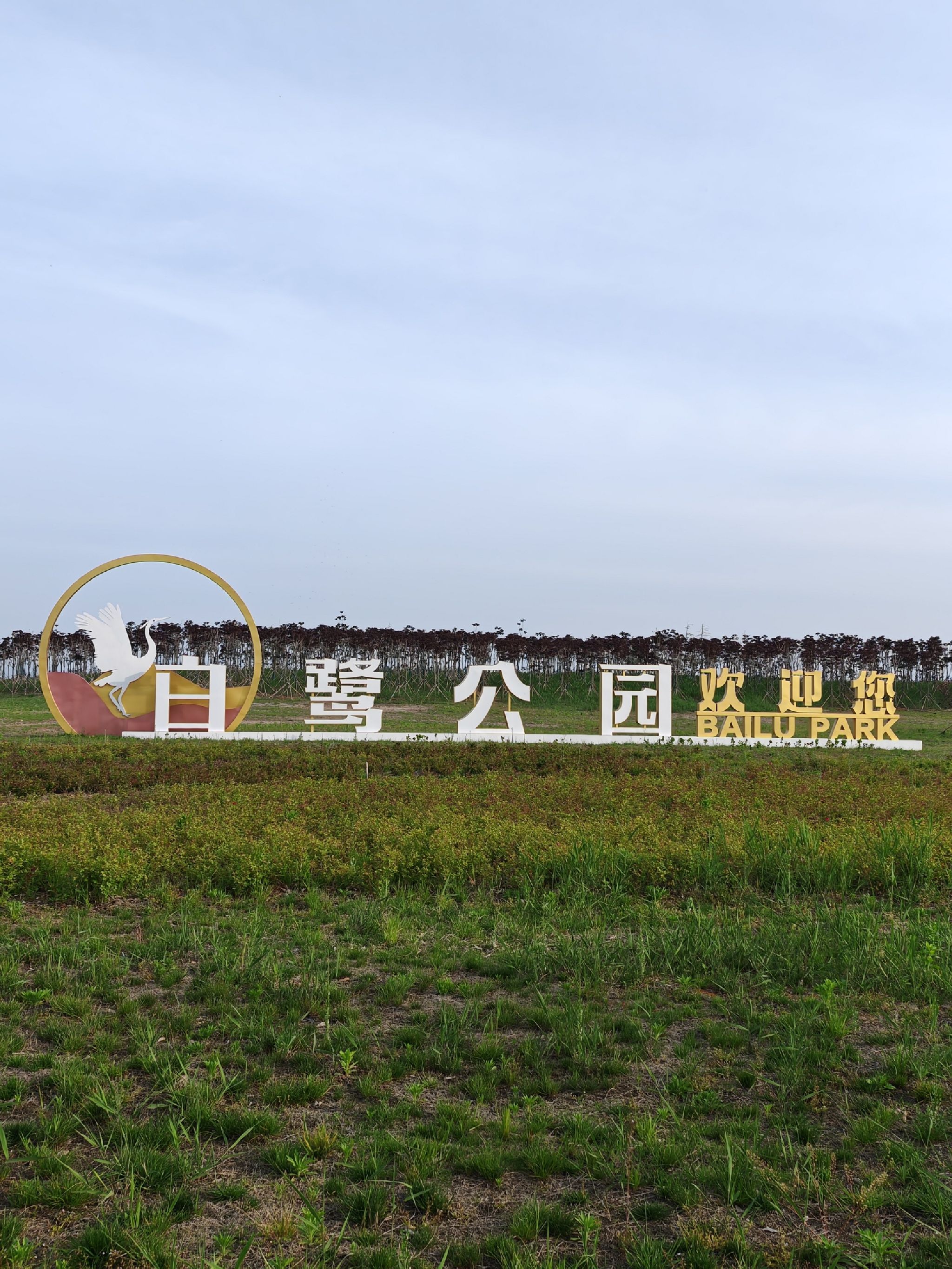 白鹭公园旅行图片 1