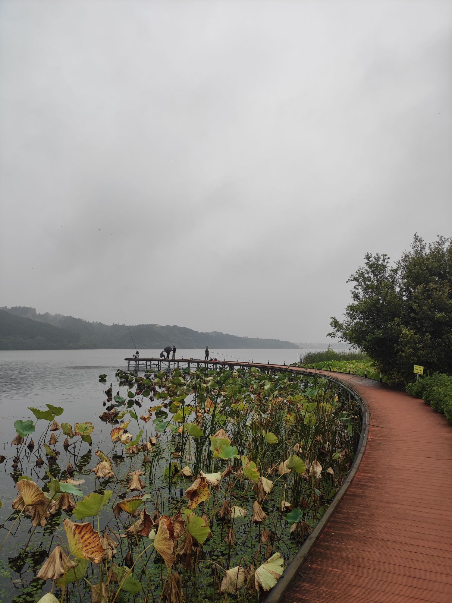 湖滨灯光公园旅行图片 3
