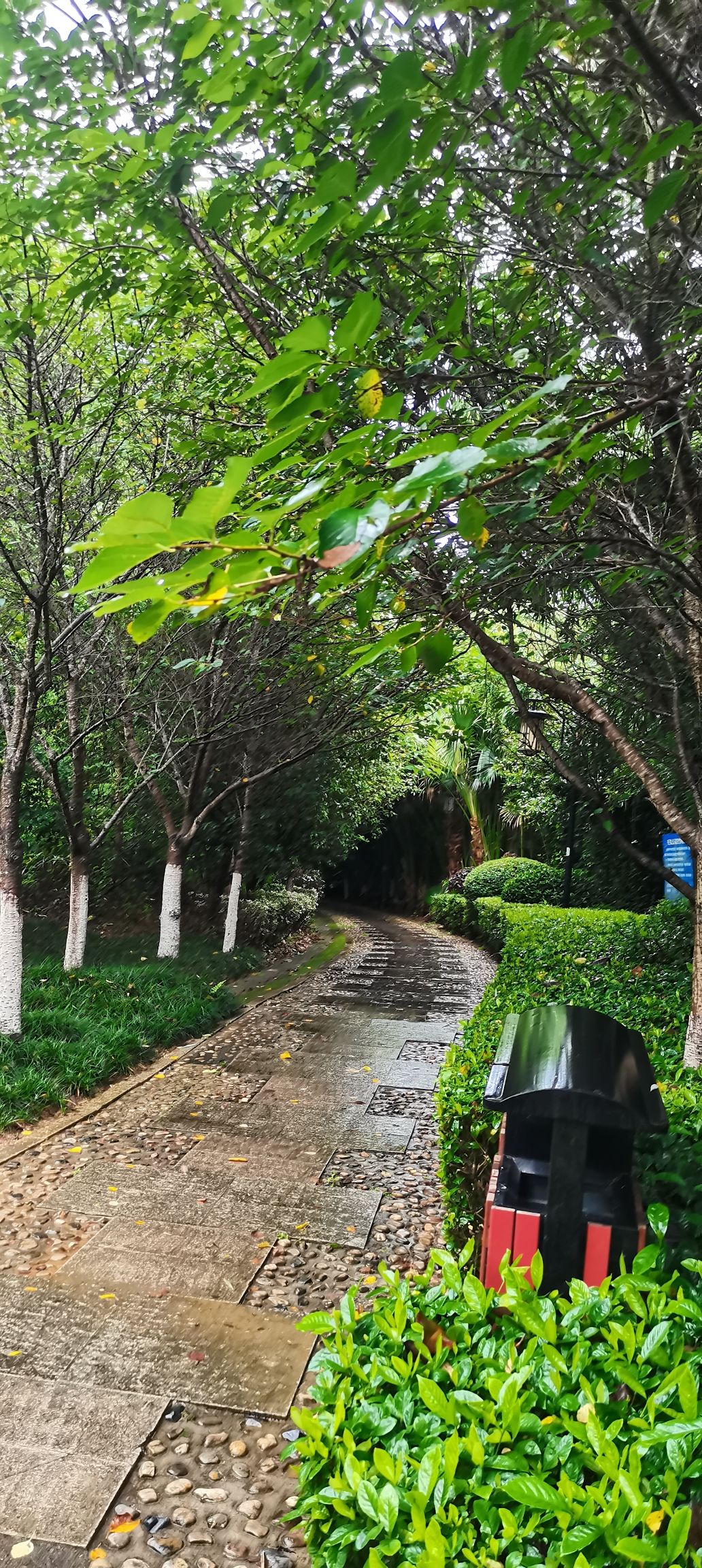寻乌县健康主题公园旅行图片 2