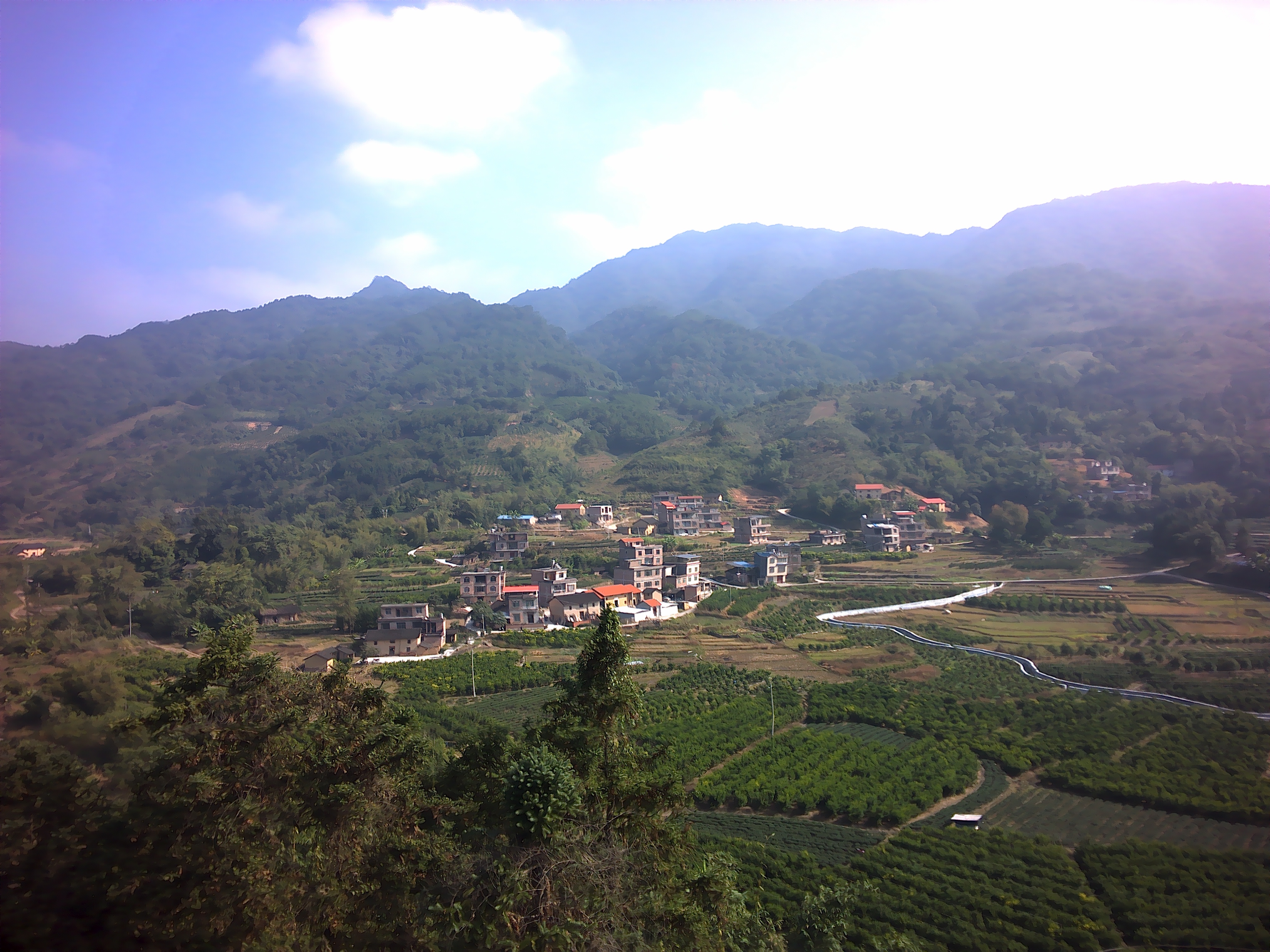 张氏老宅旅行图片 1