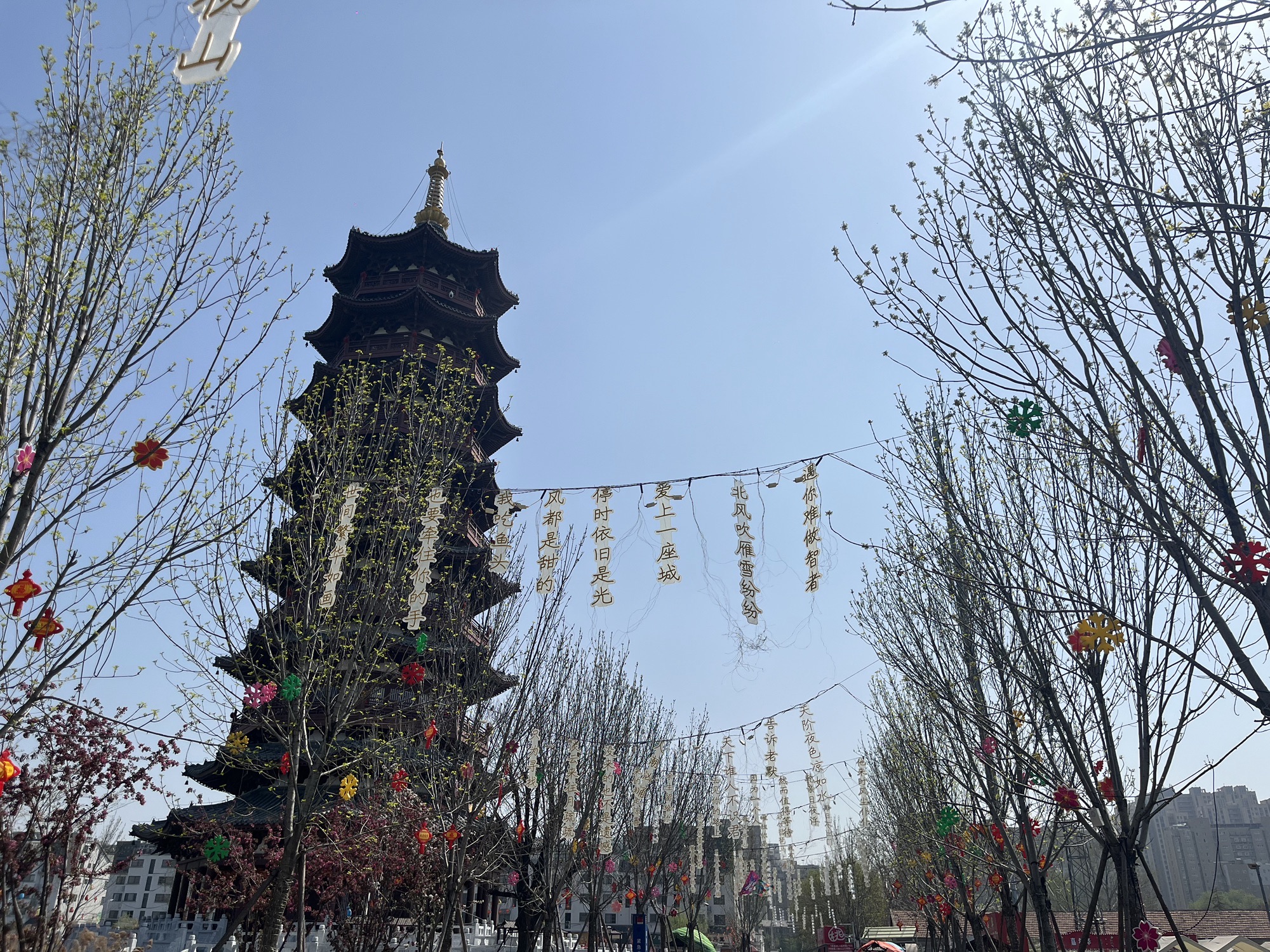 菏泽老城曹州景区旅行图片 1