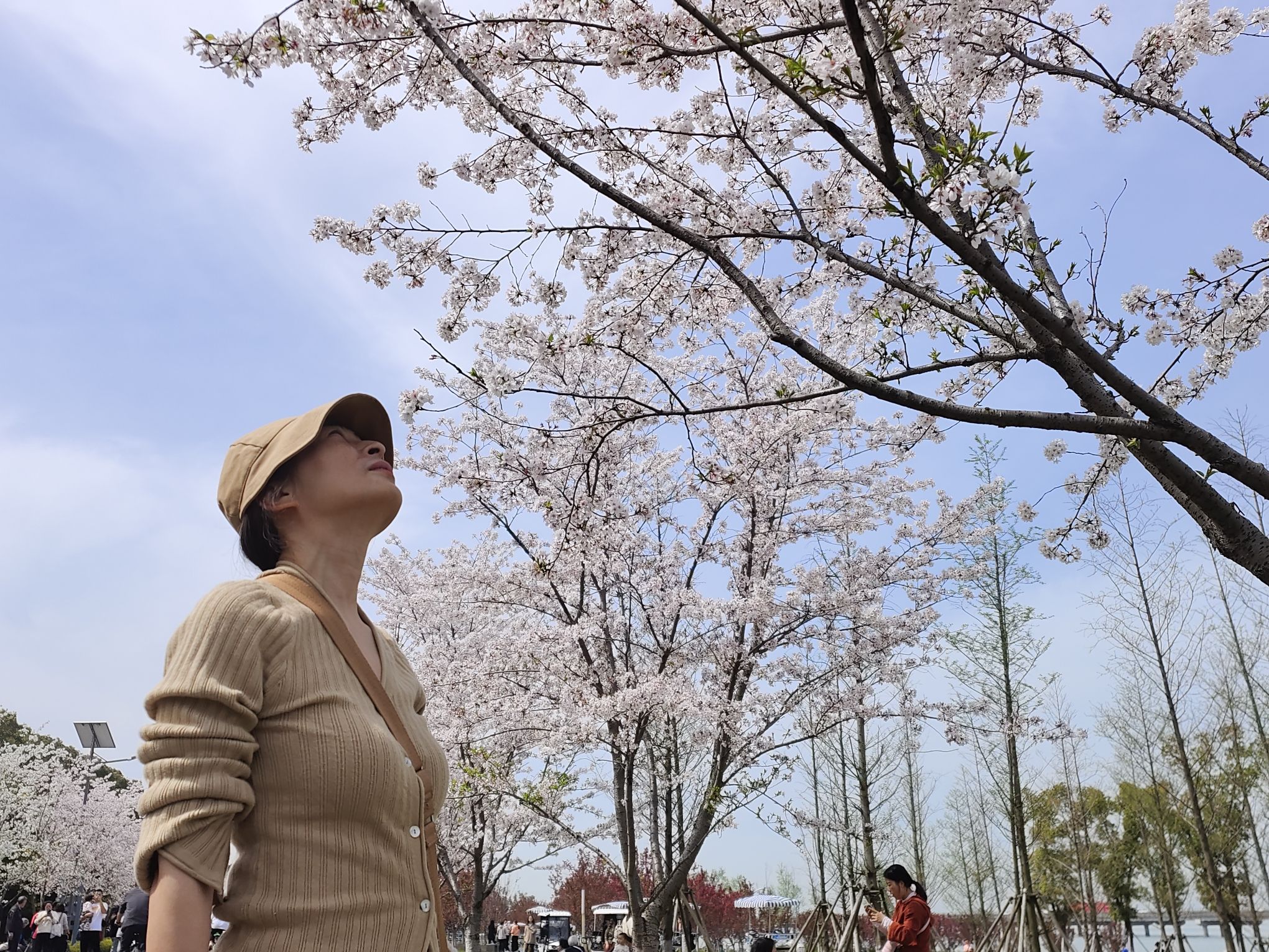 万公堤旅行图片 3