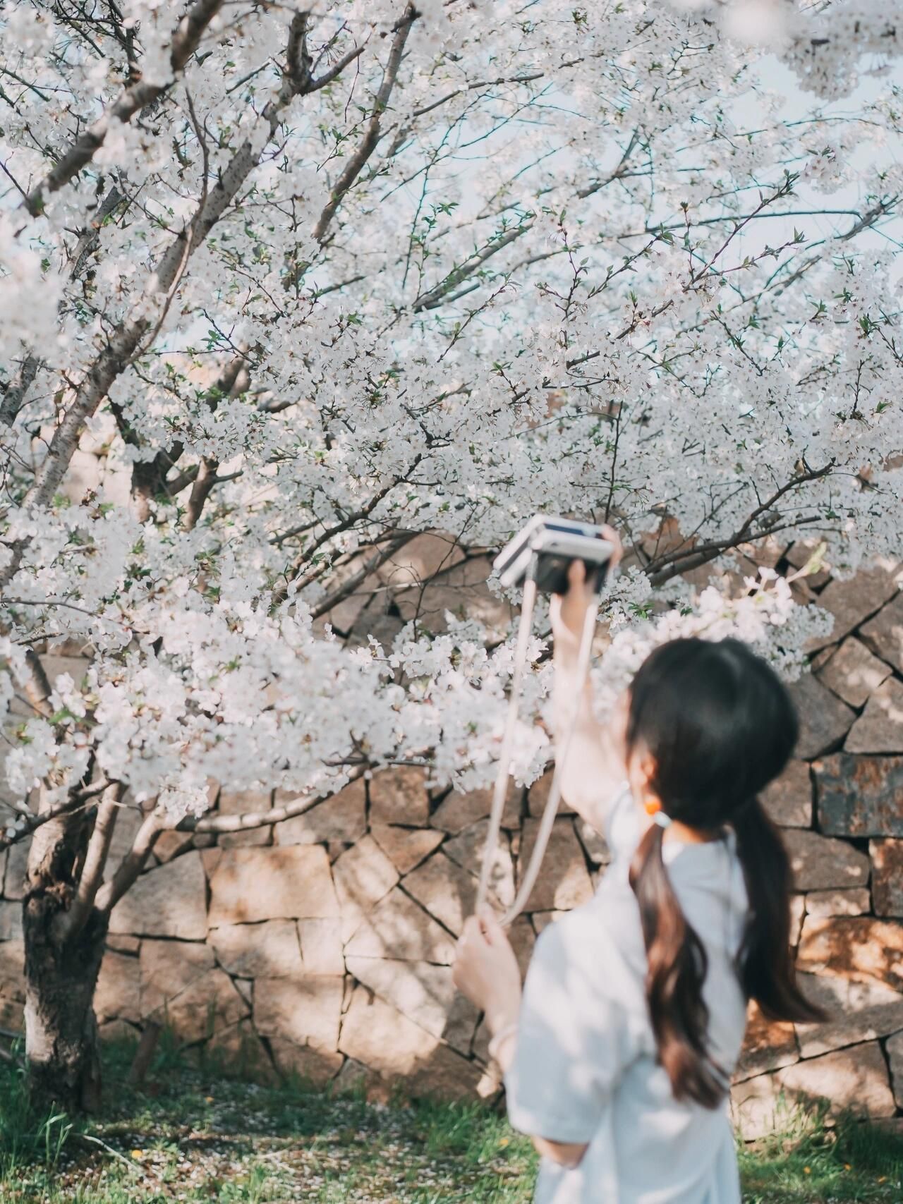 万公堤旅行图片 3