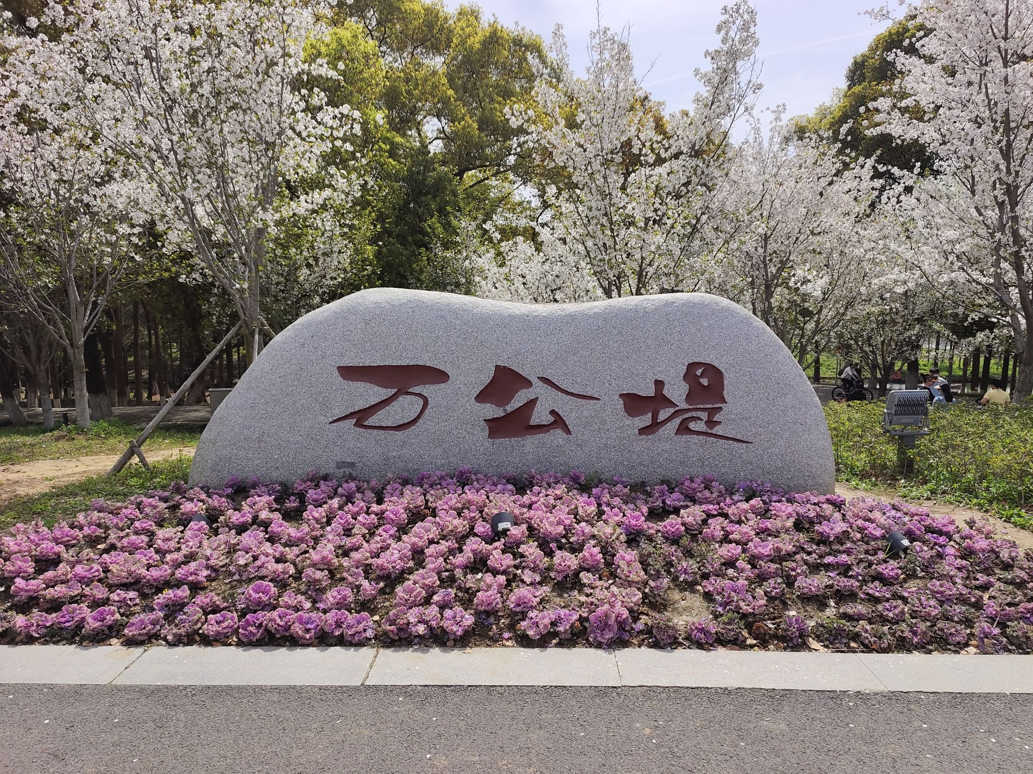 万公堤旅行图片 1