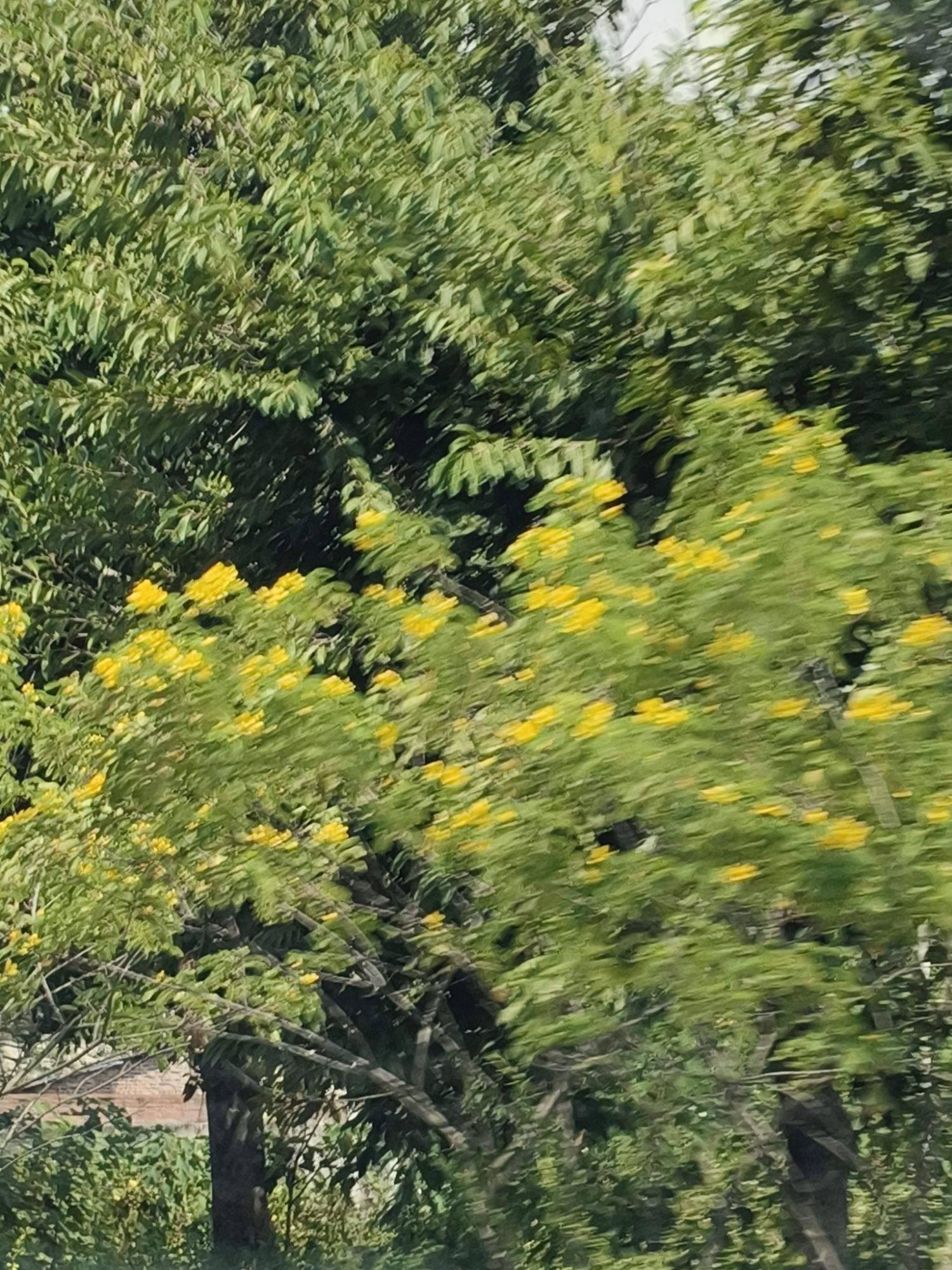 信昌·桂海晴岚景区旅行图片 2