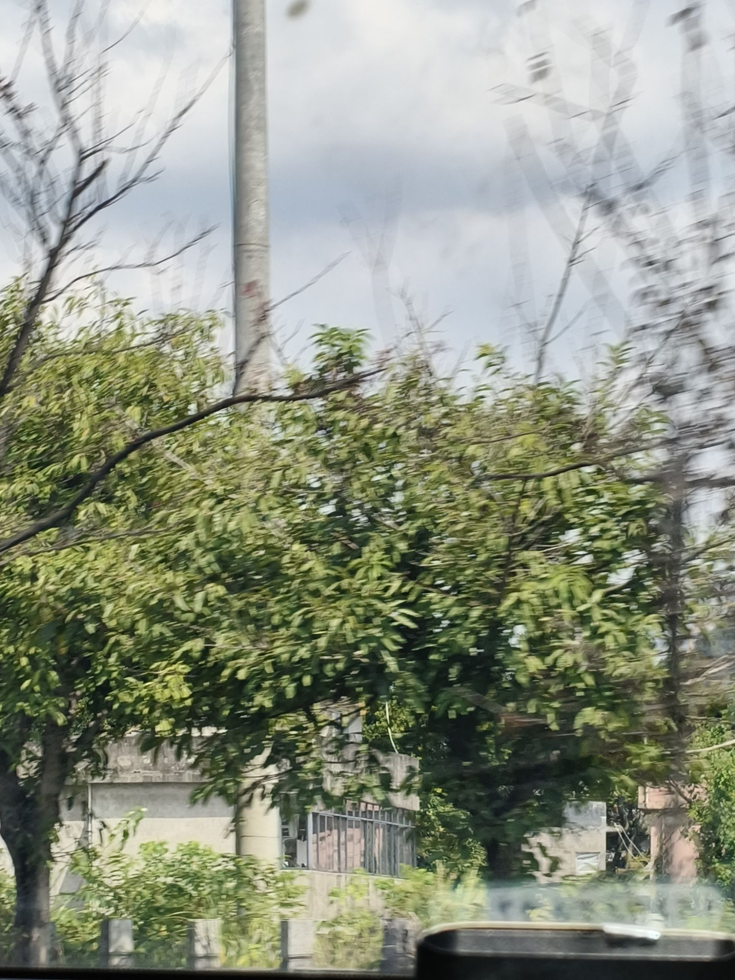 信昌·桂海晴岚景区旅行图片 3