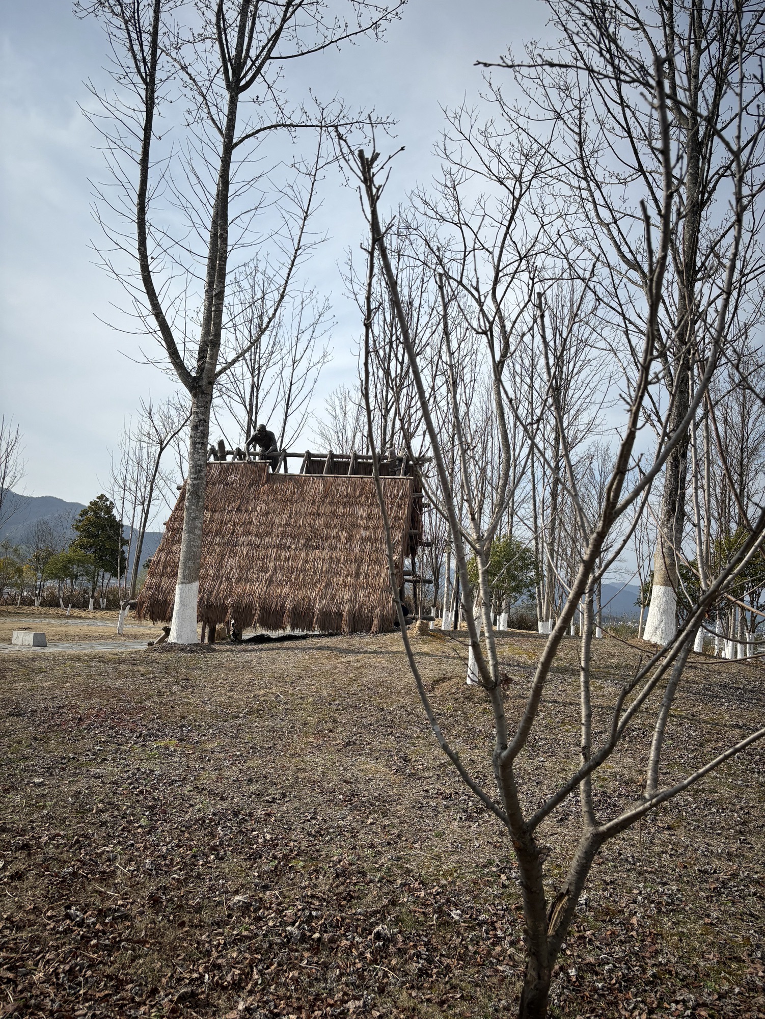 黄山区蒋家山遗址公园旅行图片 2