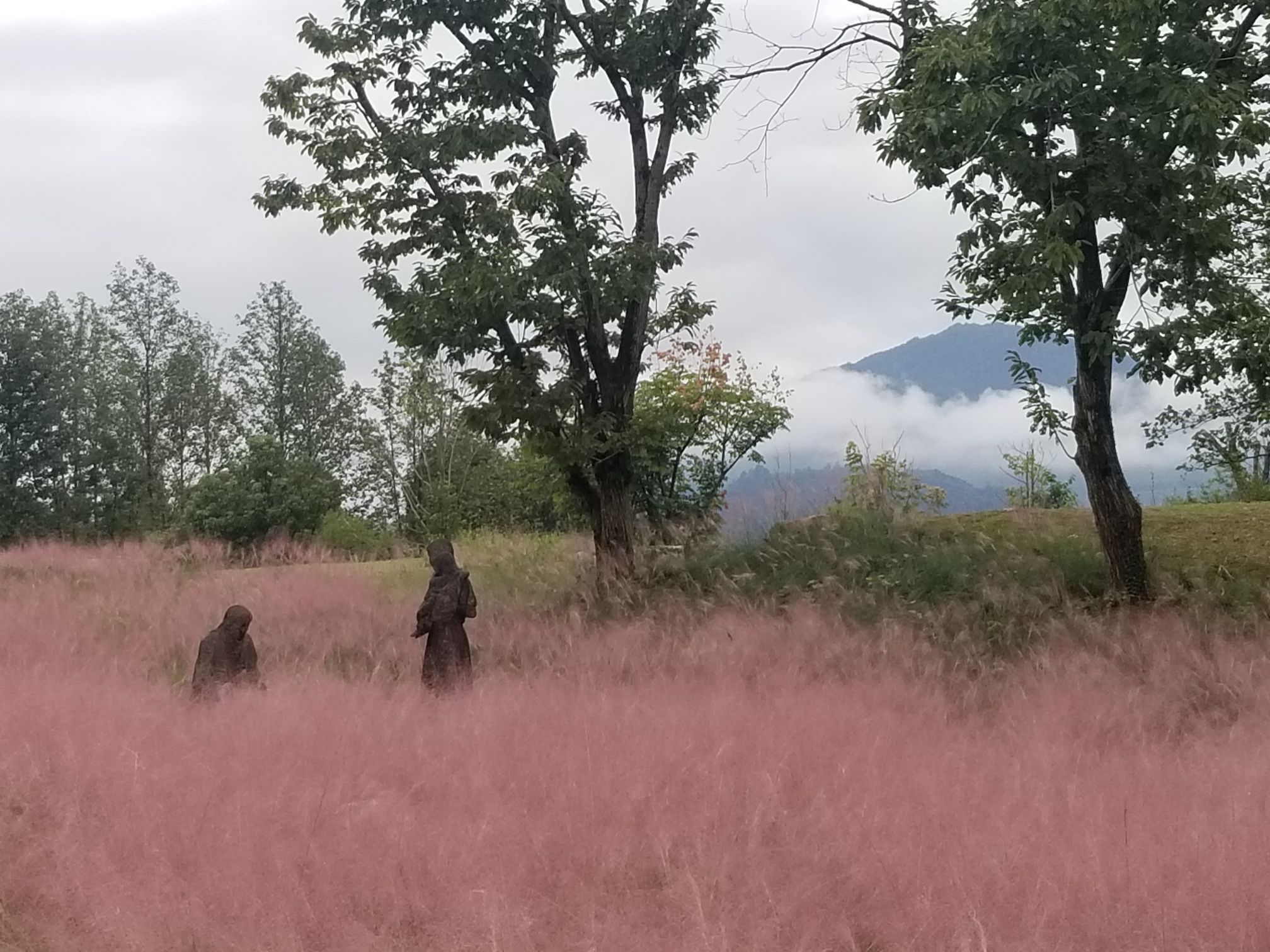 黄山区蒋家山遗址公园旅行图片 1