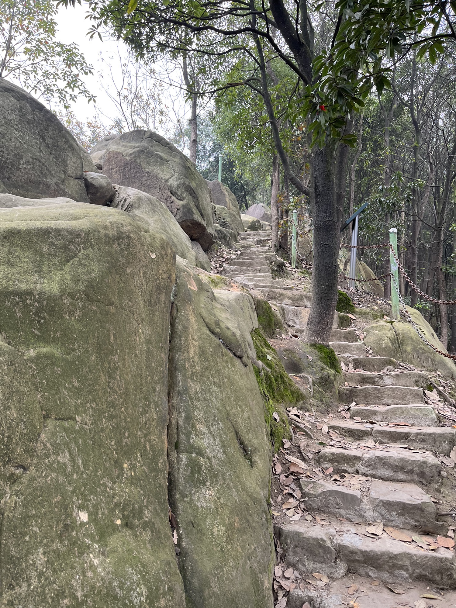 南山茶马文化公园旅行图片 2