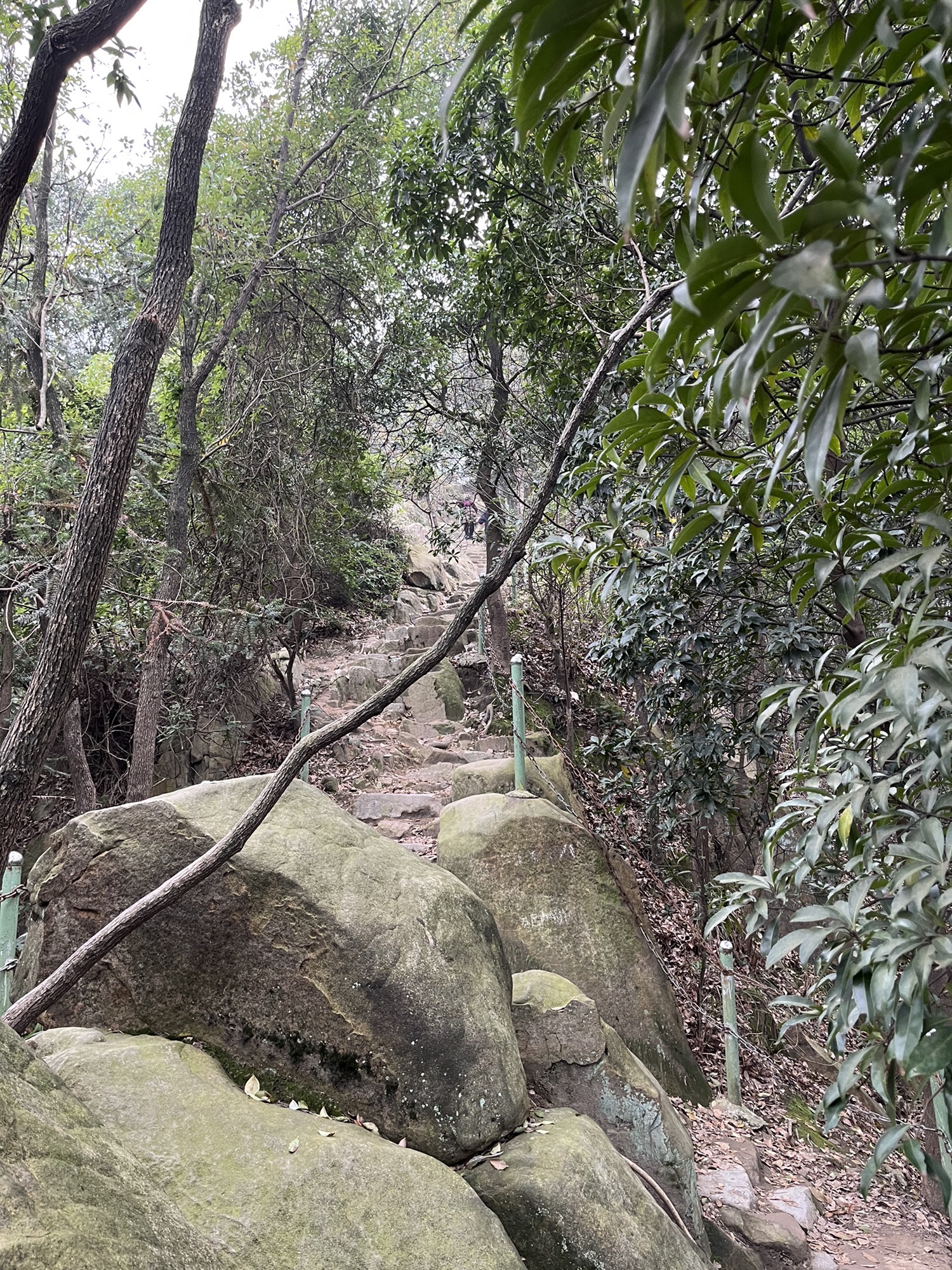 南山茶马文化公园旅行图片 1