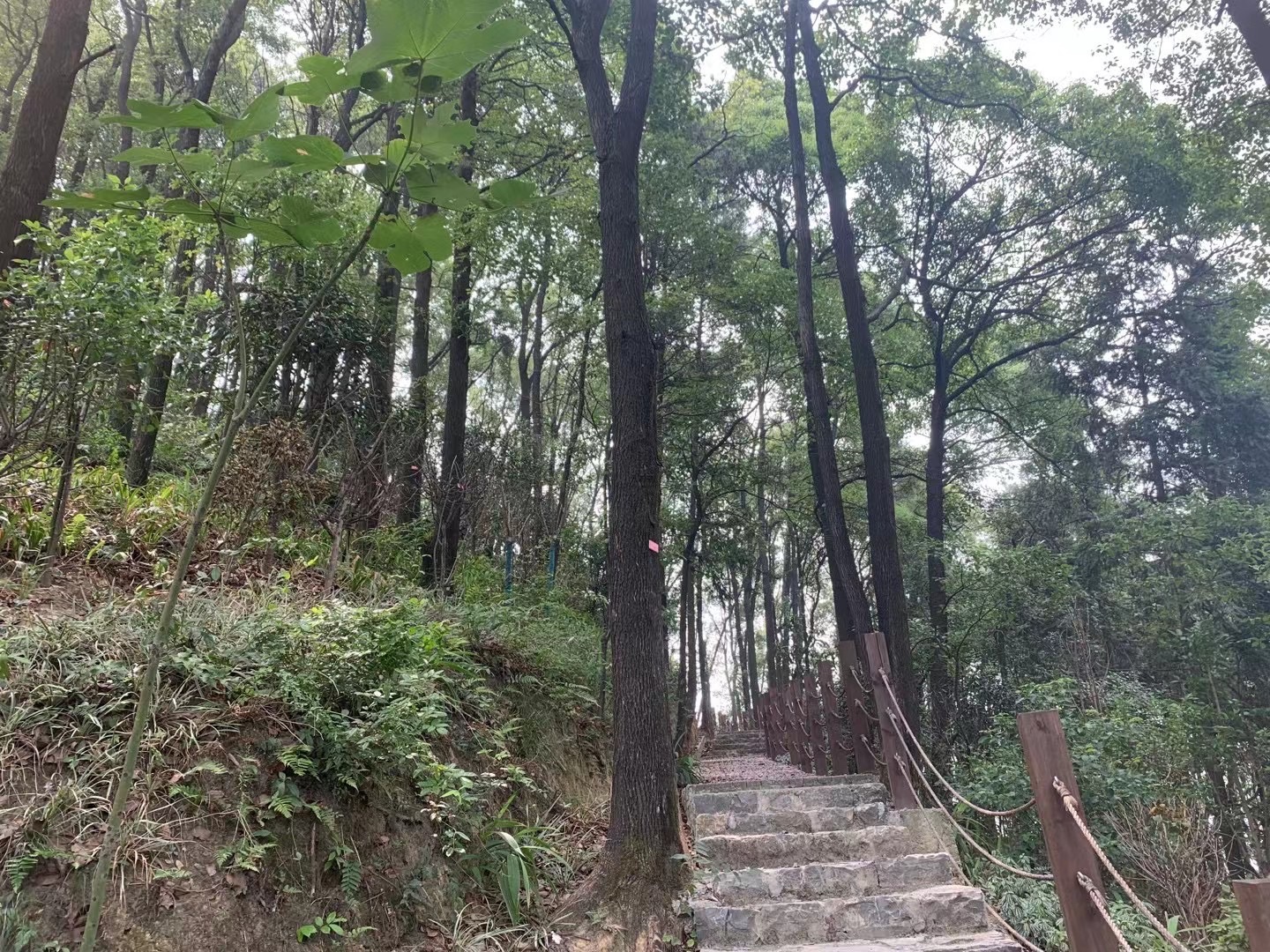 南山茶马文化公园旅行图片 2