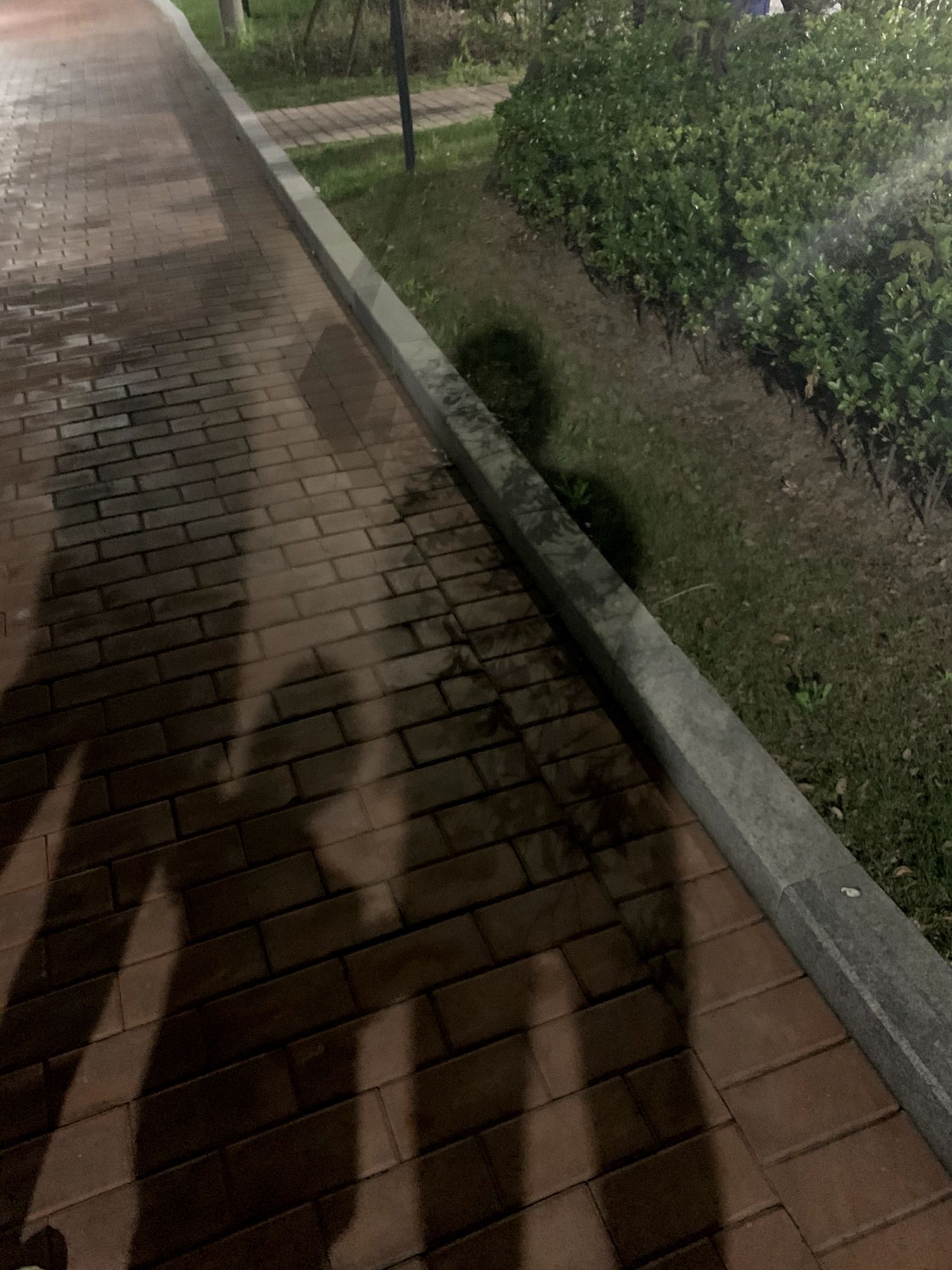 海门彩虹公园旅行图片 3
