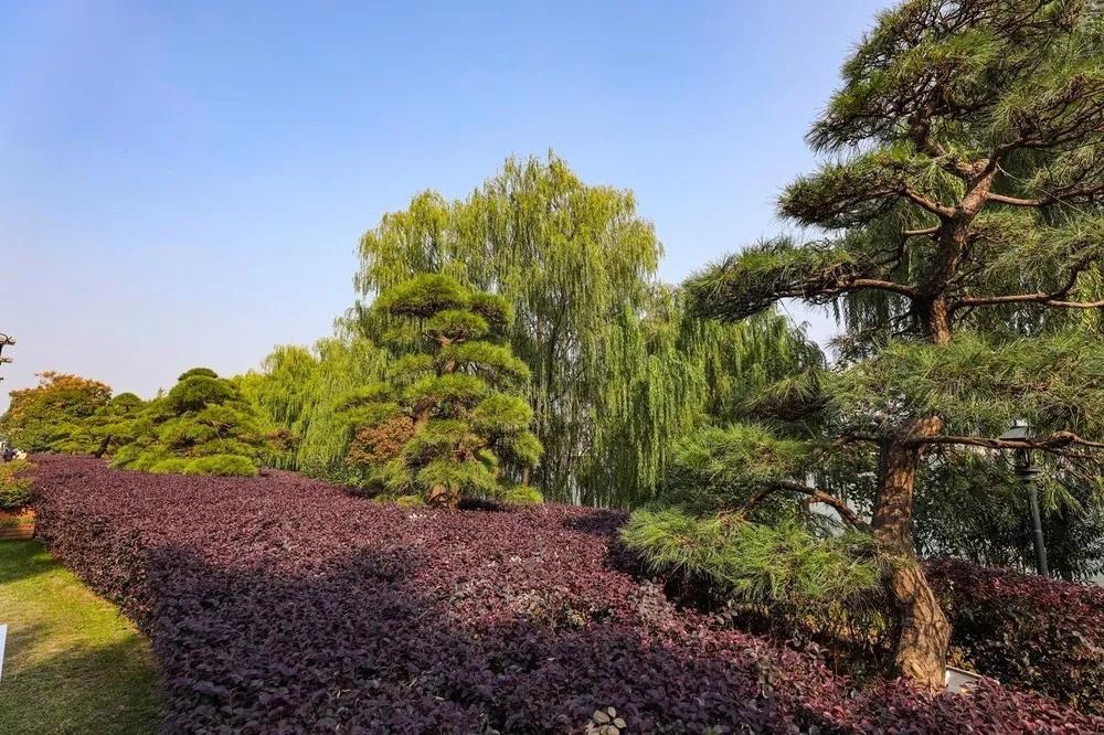 海门彩虹公园