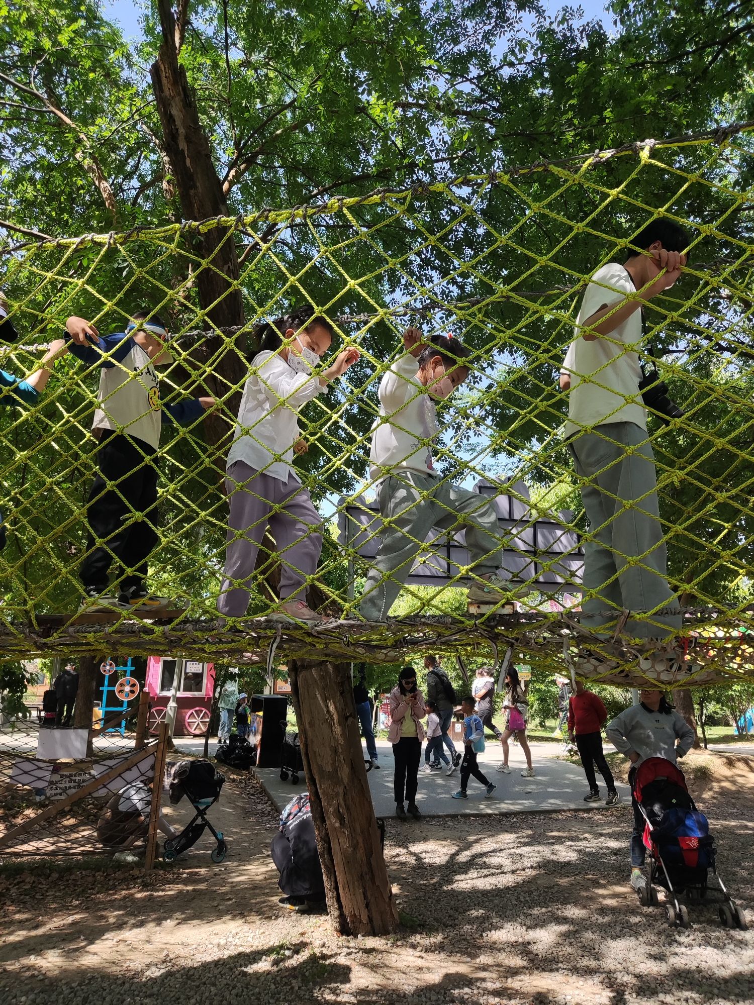 乐爸亲子部落旅行图片 1