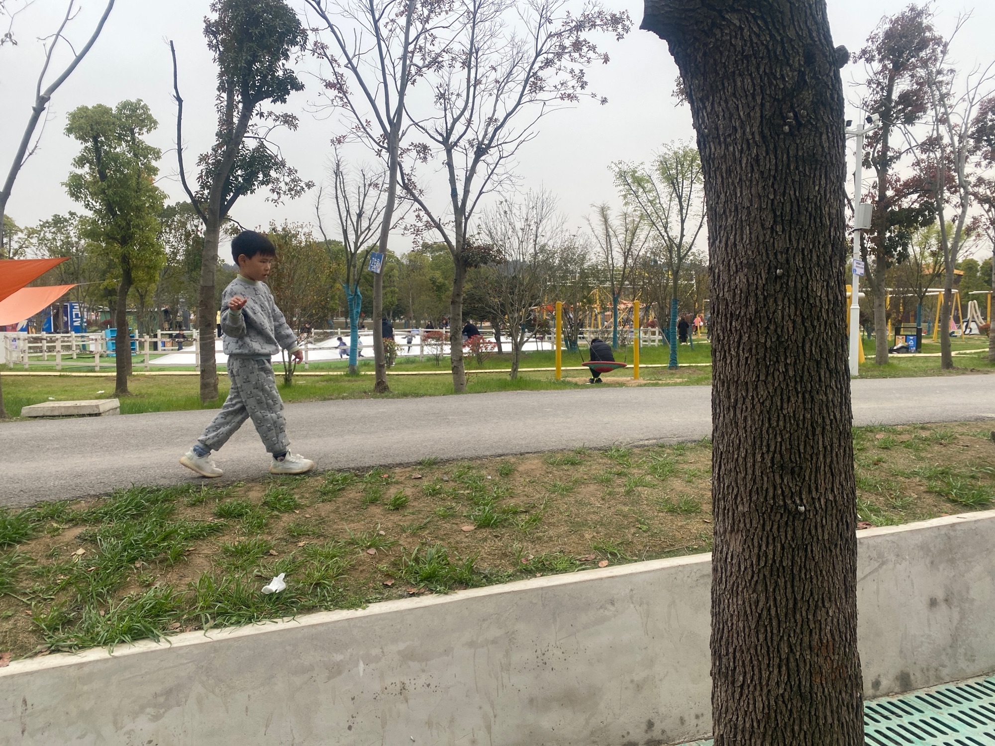 乐爸亲子部落旅行图片 1
