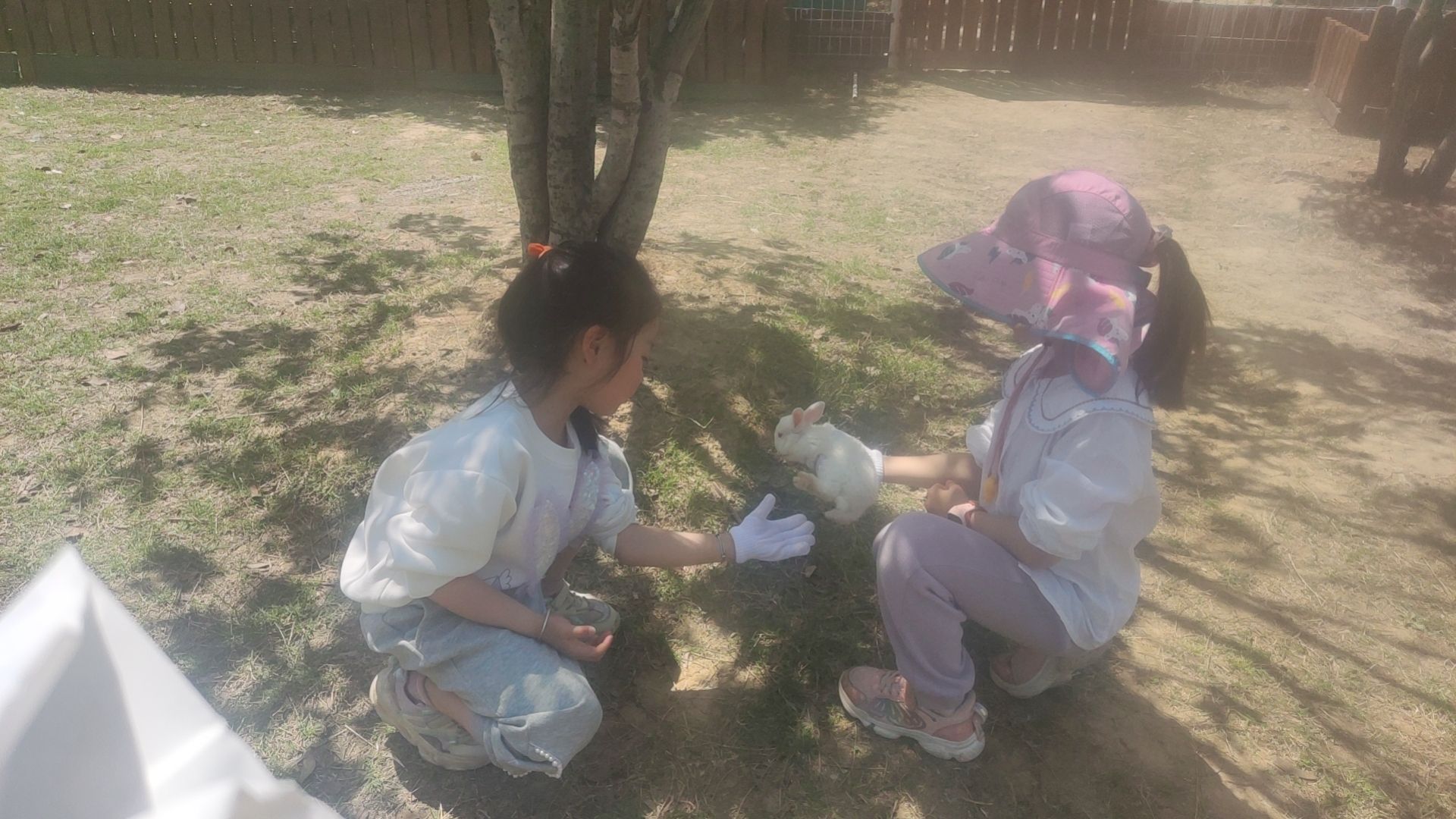 乐爸亲子部落旅行图片 2