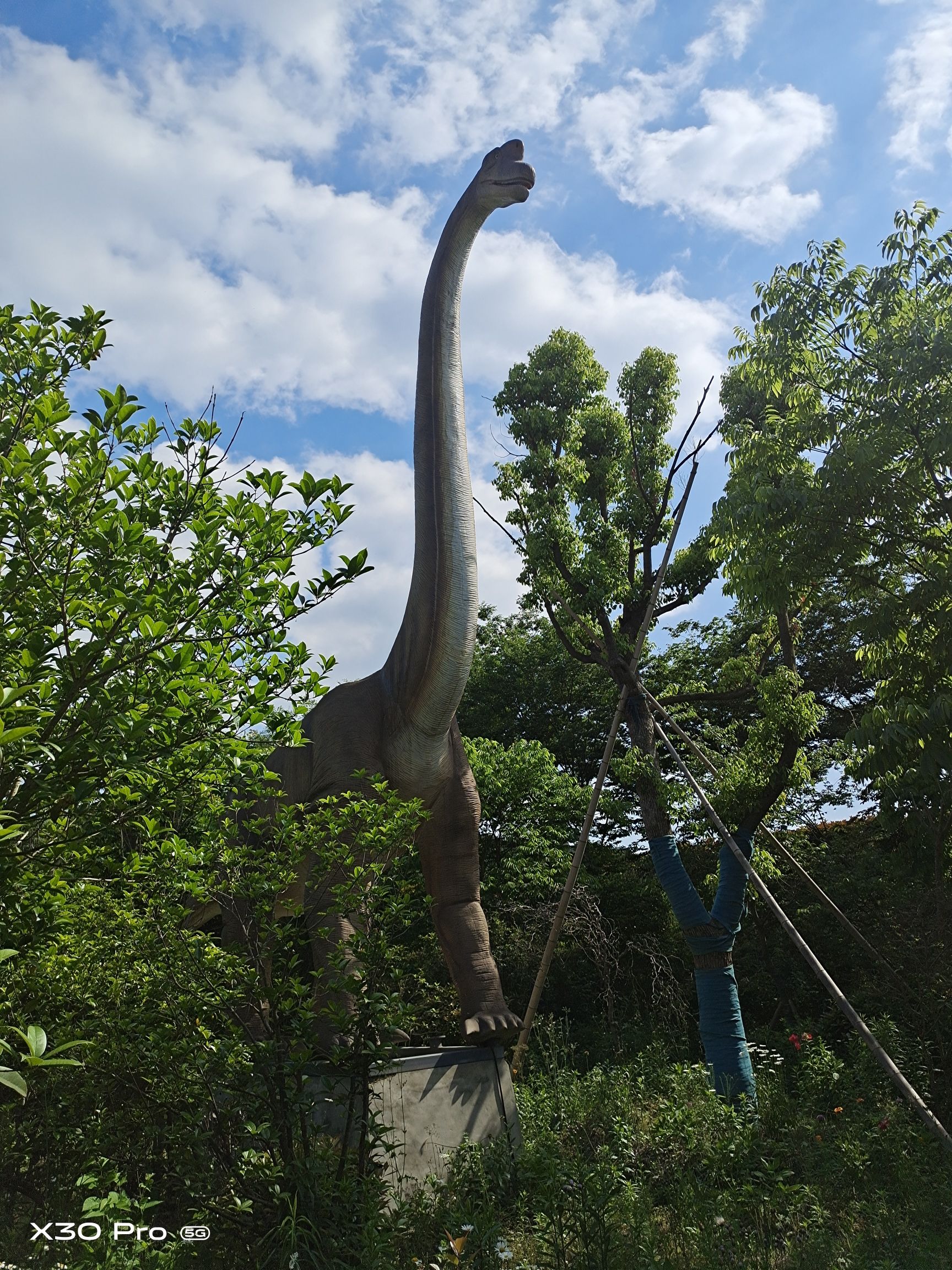 乐爸亲子部落旅行图片 3